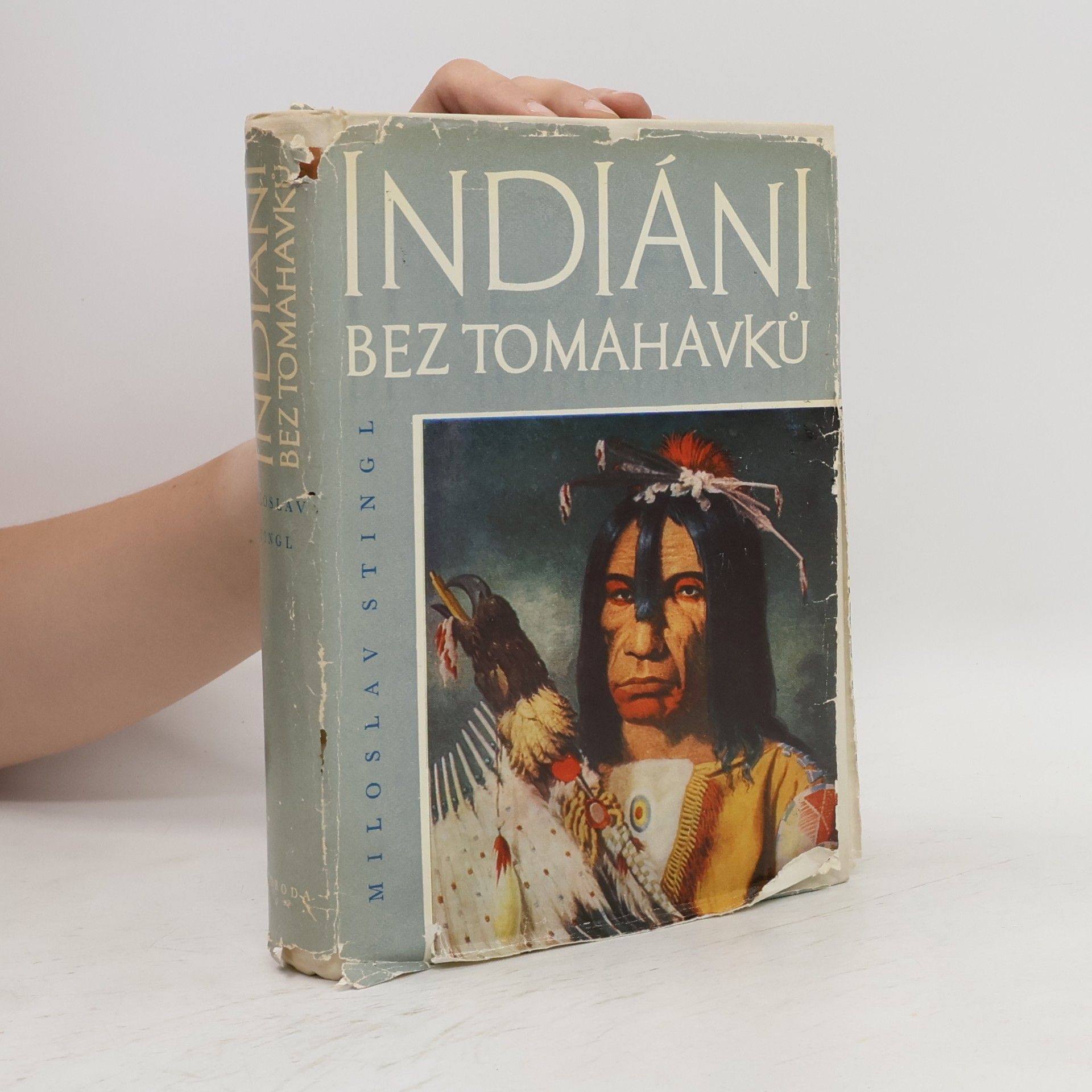Miloslav Stingl Indiáni bez tomahavků