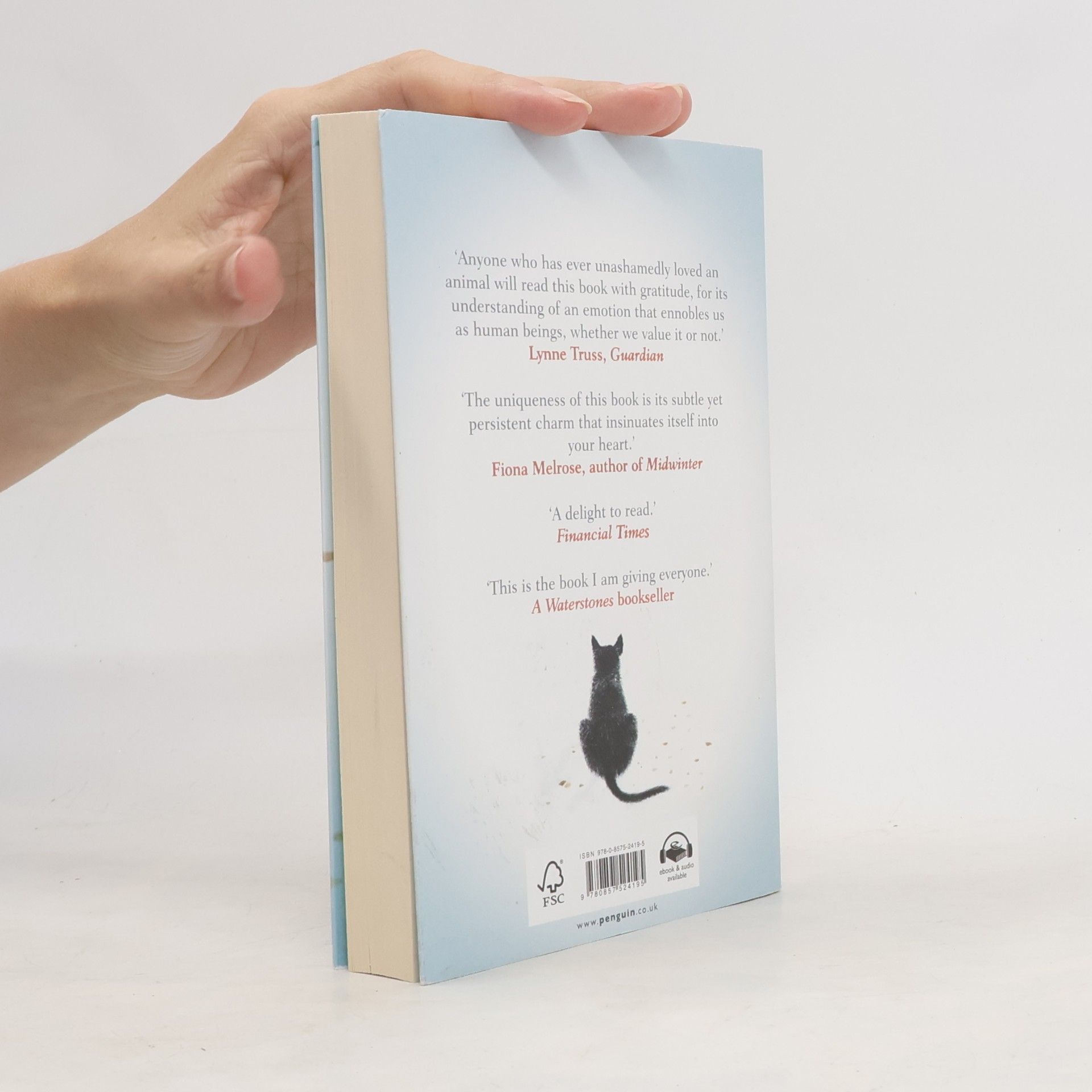 Hiro Arikawa The travelling cat chronicles