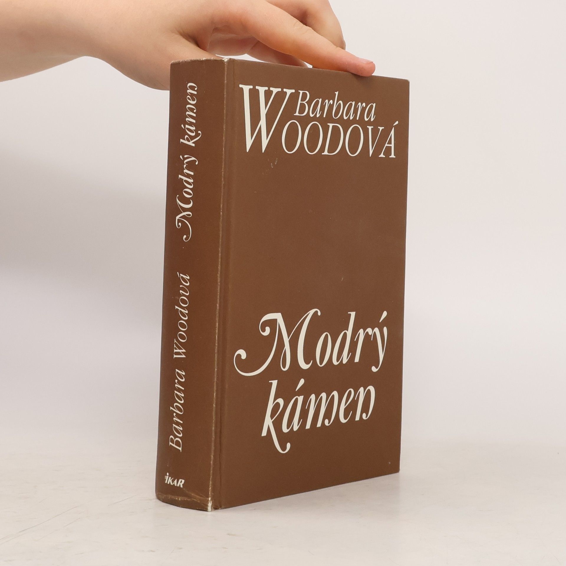 Barbara Wood Modrý kámen
