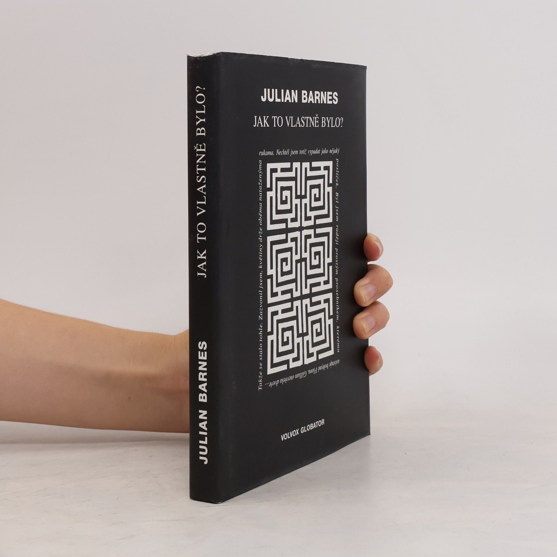 Julian Barnes Jak to vlastně bylo?