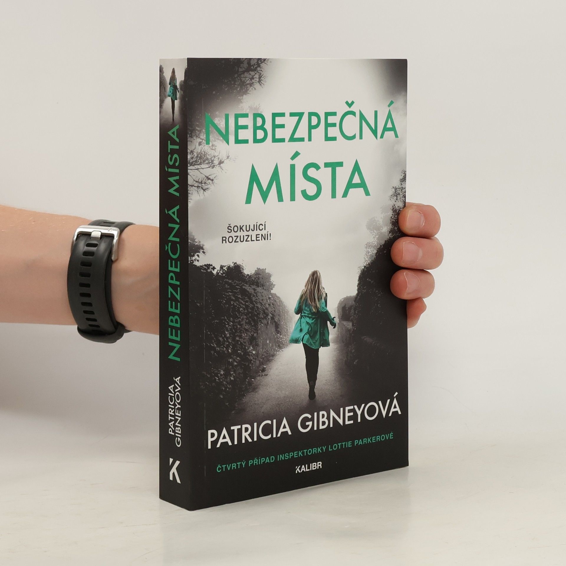Patricia Gibney Nebezpečná místa