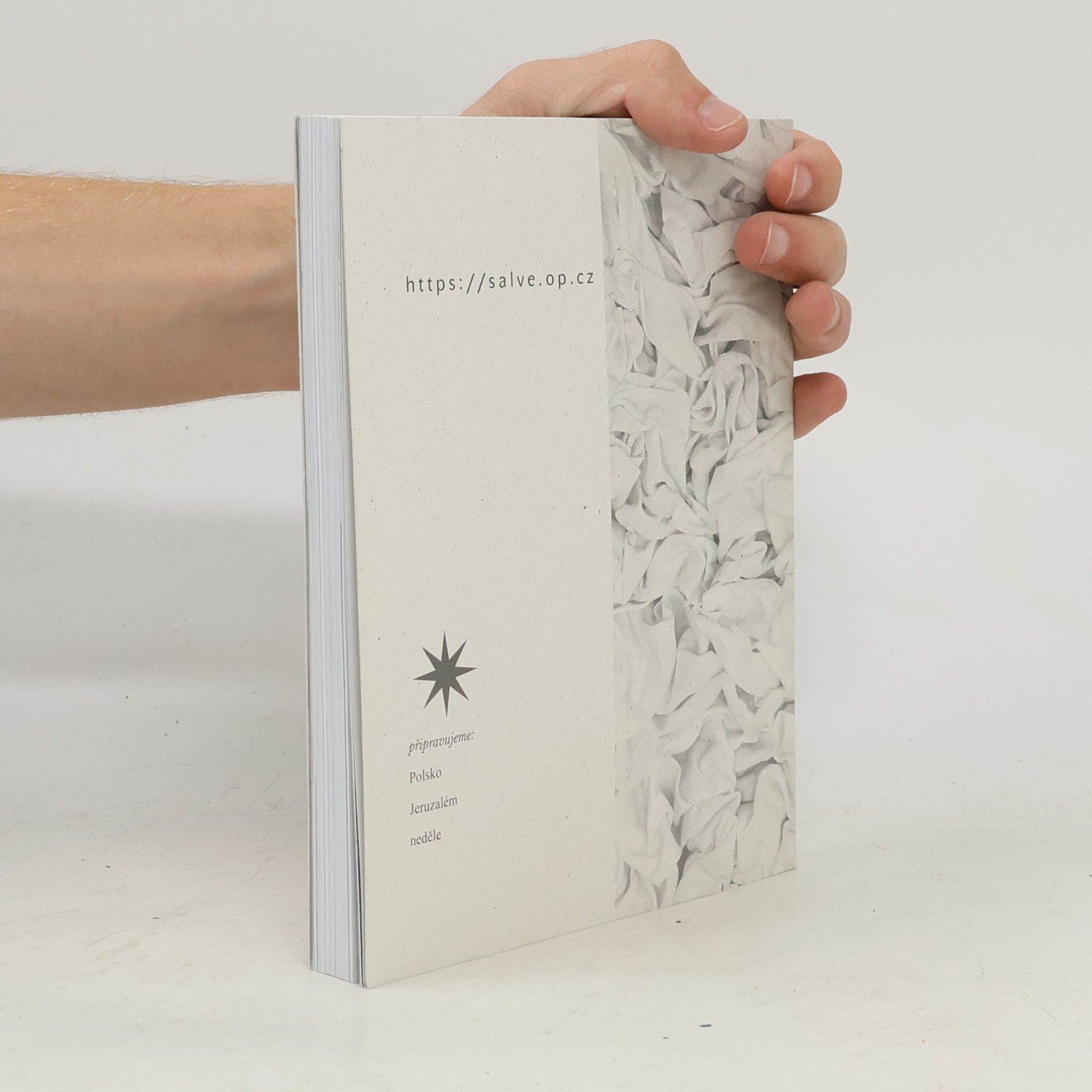 Collectif d'auteurs Salve. Revue pro teologii, duchovní život a kulturu 2/22