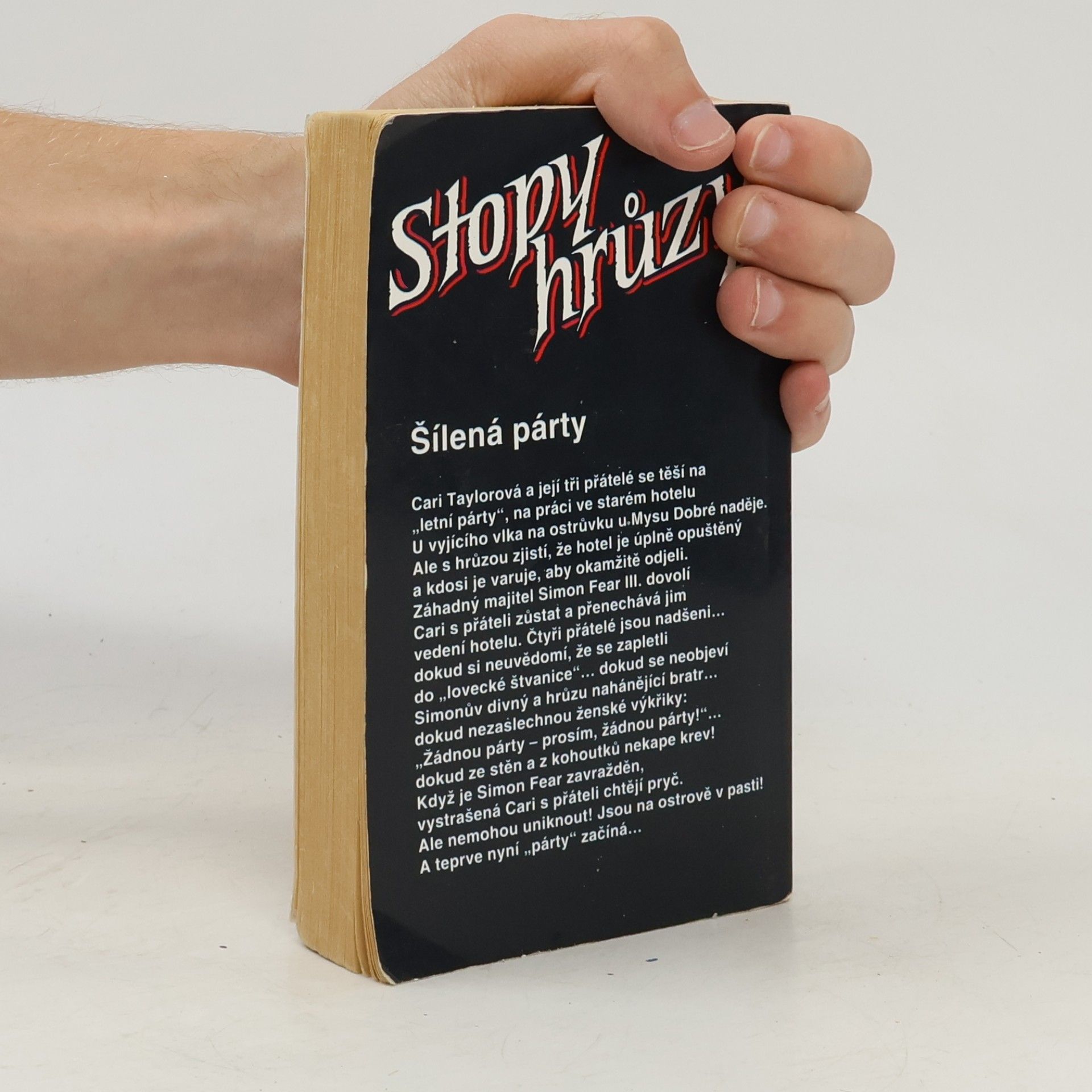 R. L. Stine Stopy hrůzy 26. Letní štvanice