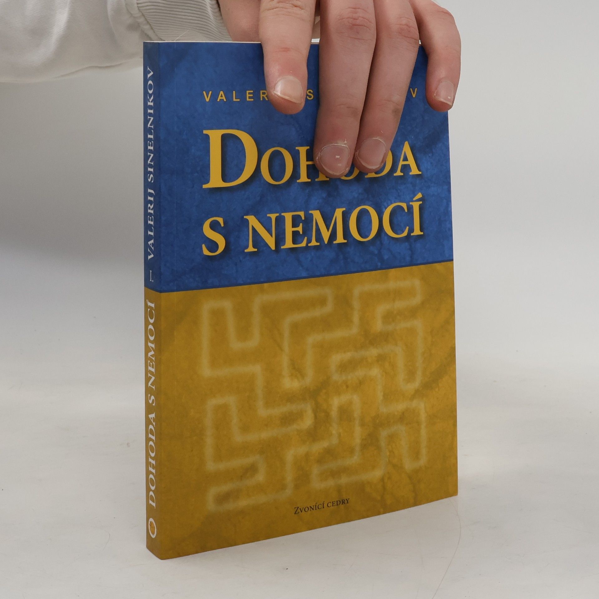 Valerij Vladimirovič Sinel‘nikov Dohoda s nemocí. Kniha první