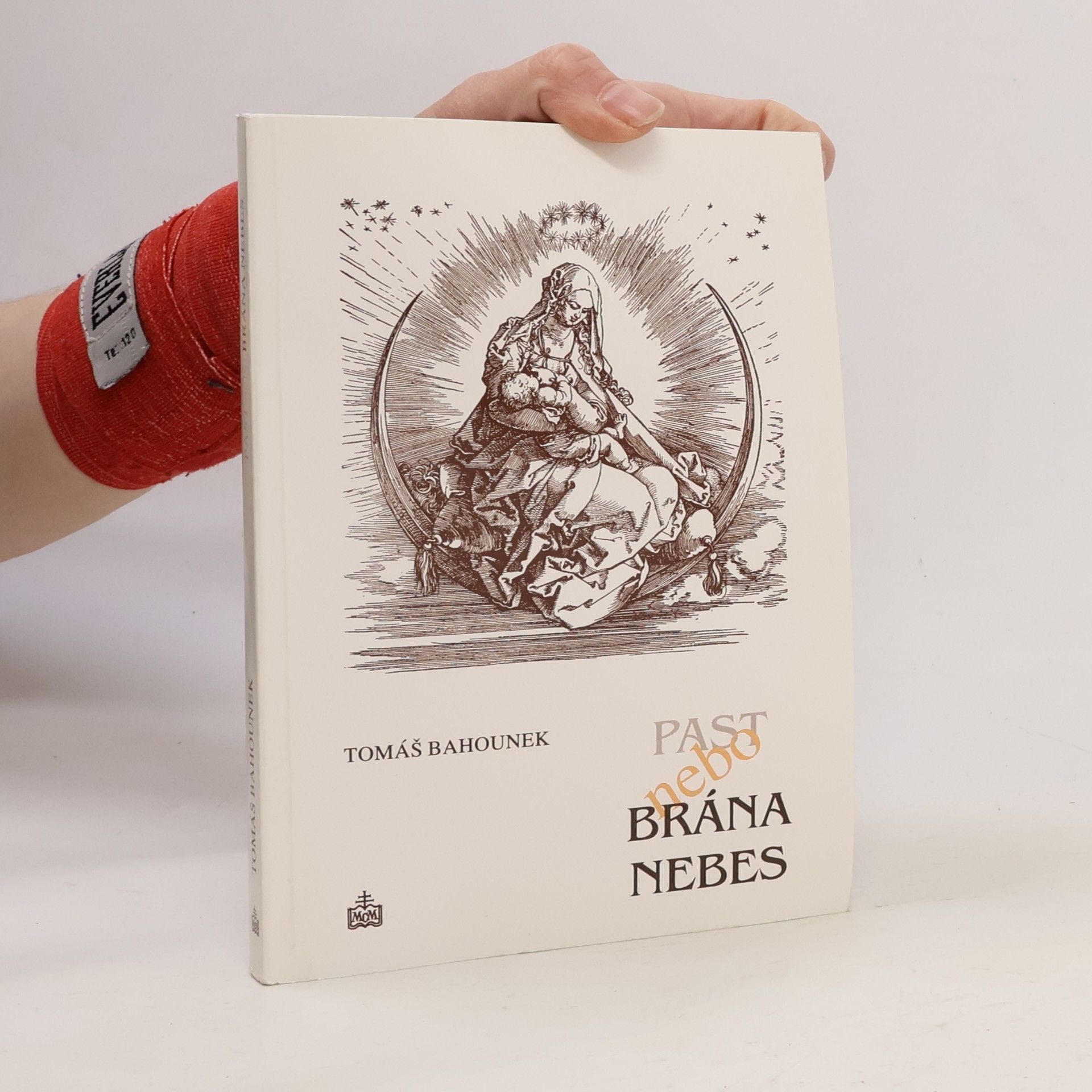 Tomáš Bahounek Past nebo brána nebes