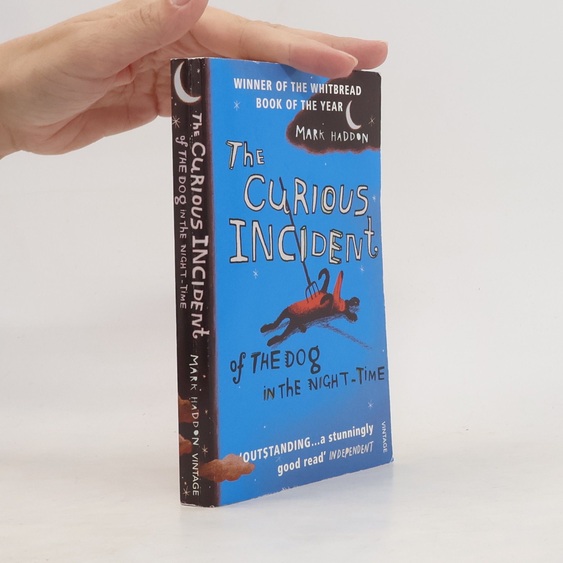 Mark Haddon The Curious Incident of The Dog in The Night-Time