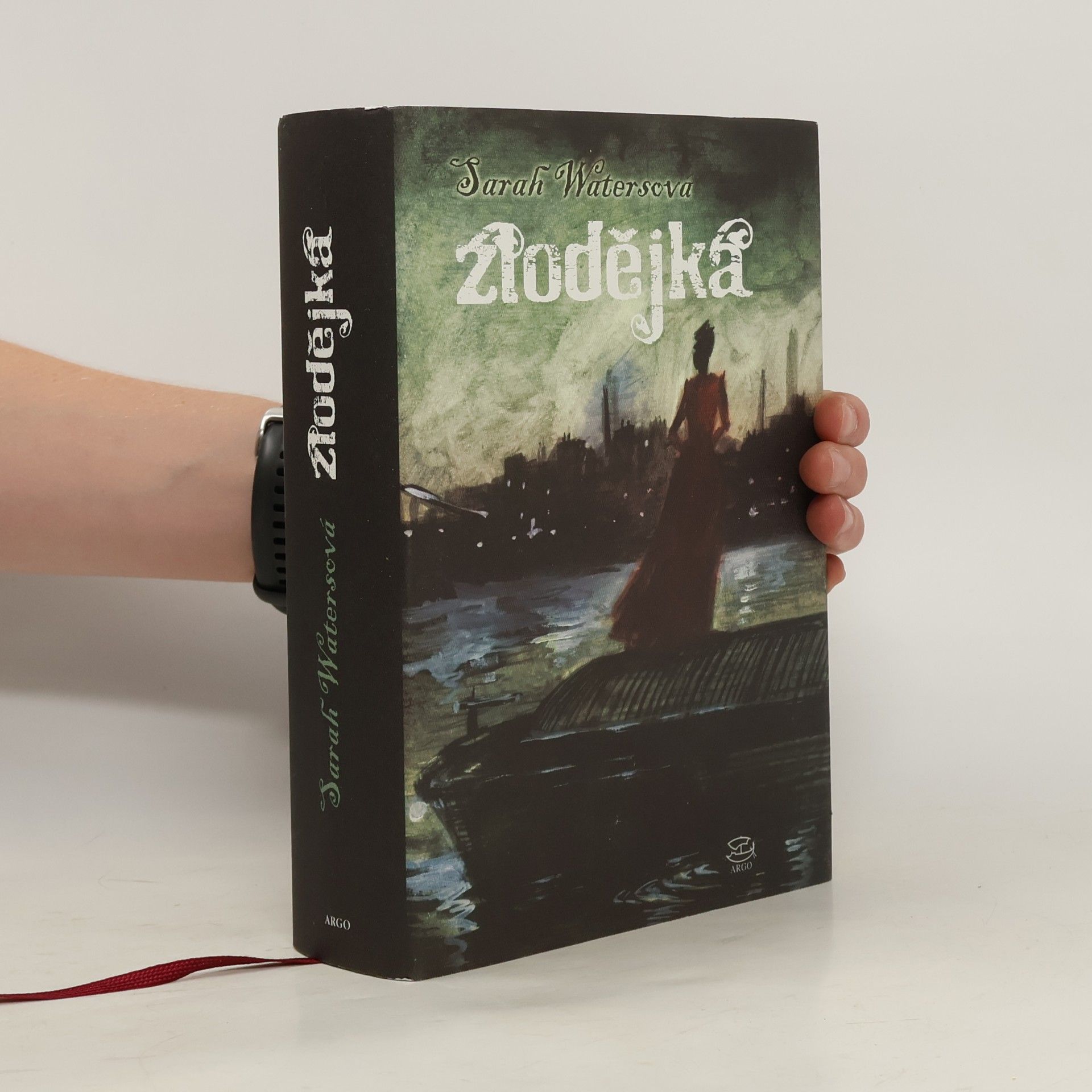 Sarah Waters Zlodějka