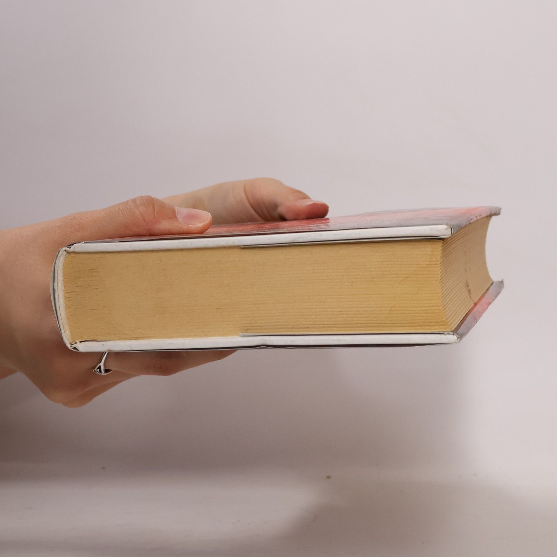 Wilbur Smith Horiace pobrežie