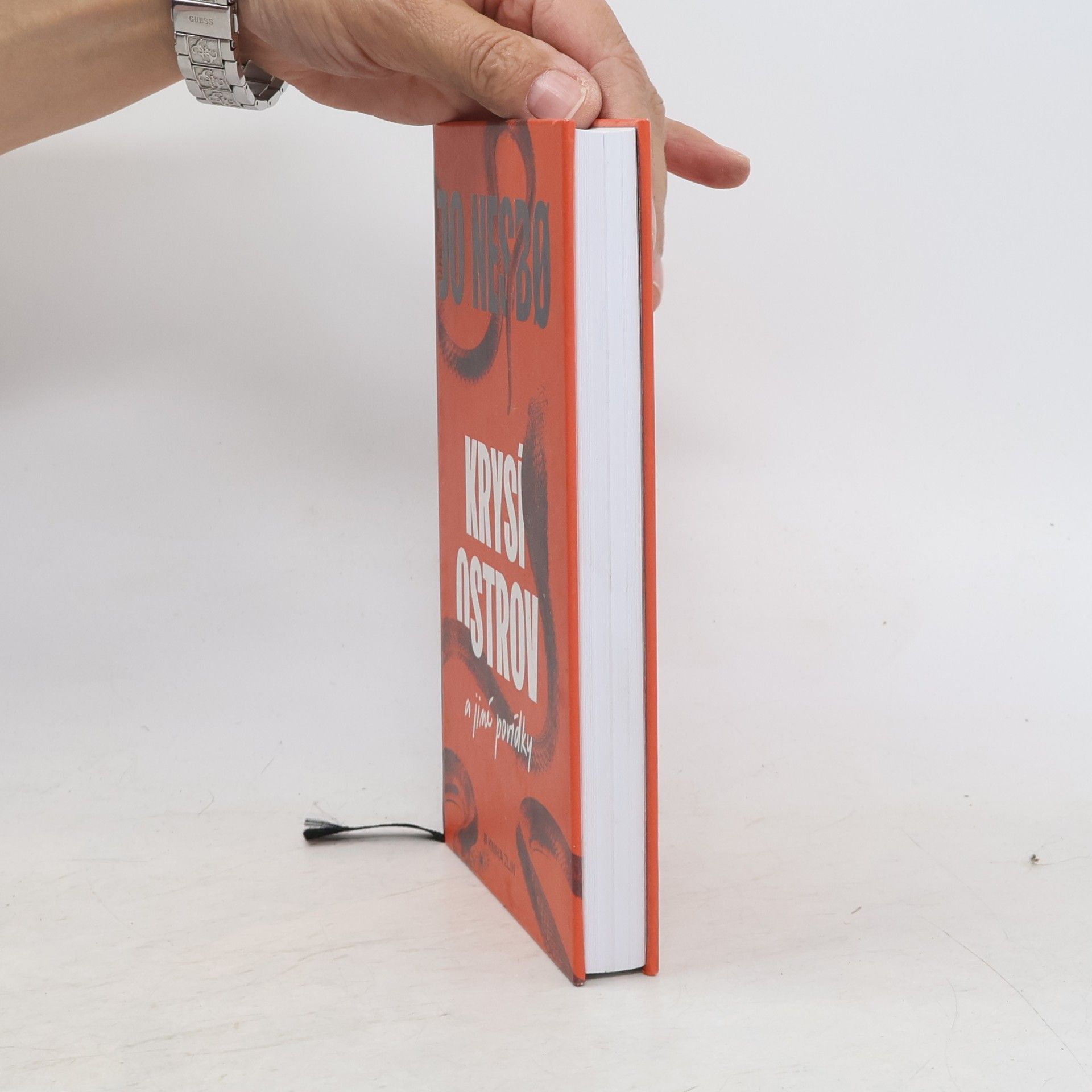 Jo Nesbø Krysí ostrov a jiné povídky