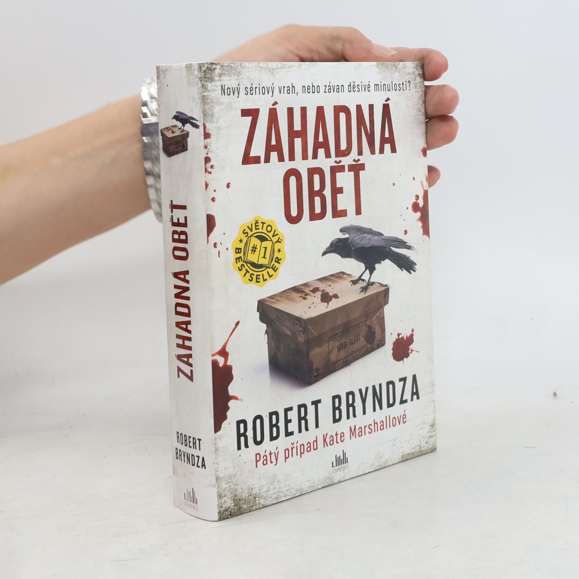 Robert Bryndza Záhadná oběť