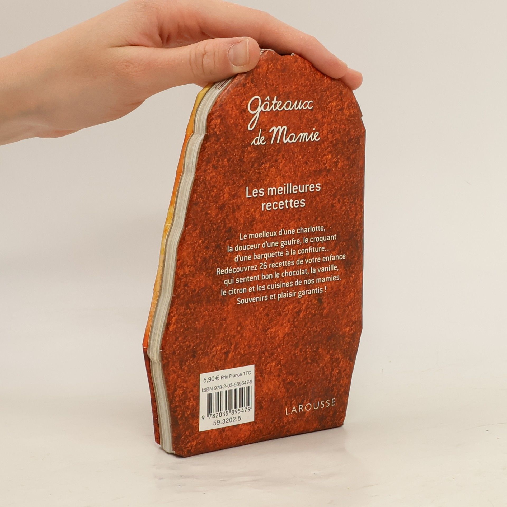 Larousse Délicieux gâteaux de mamie