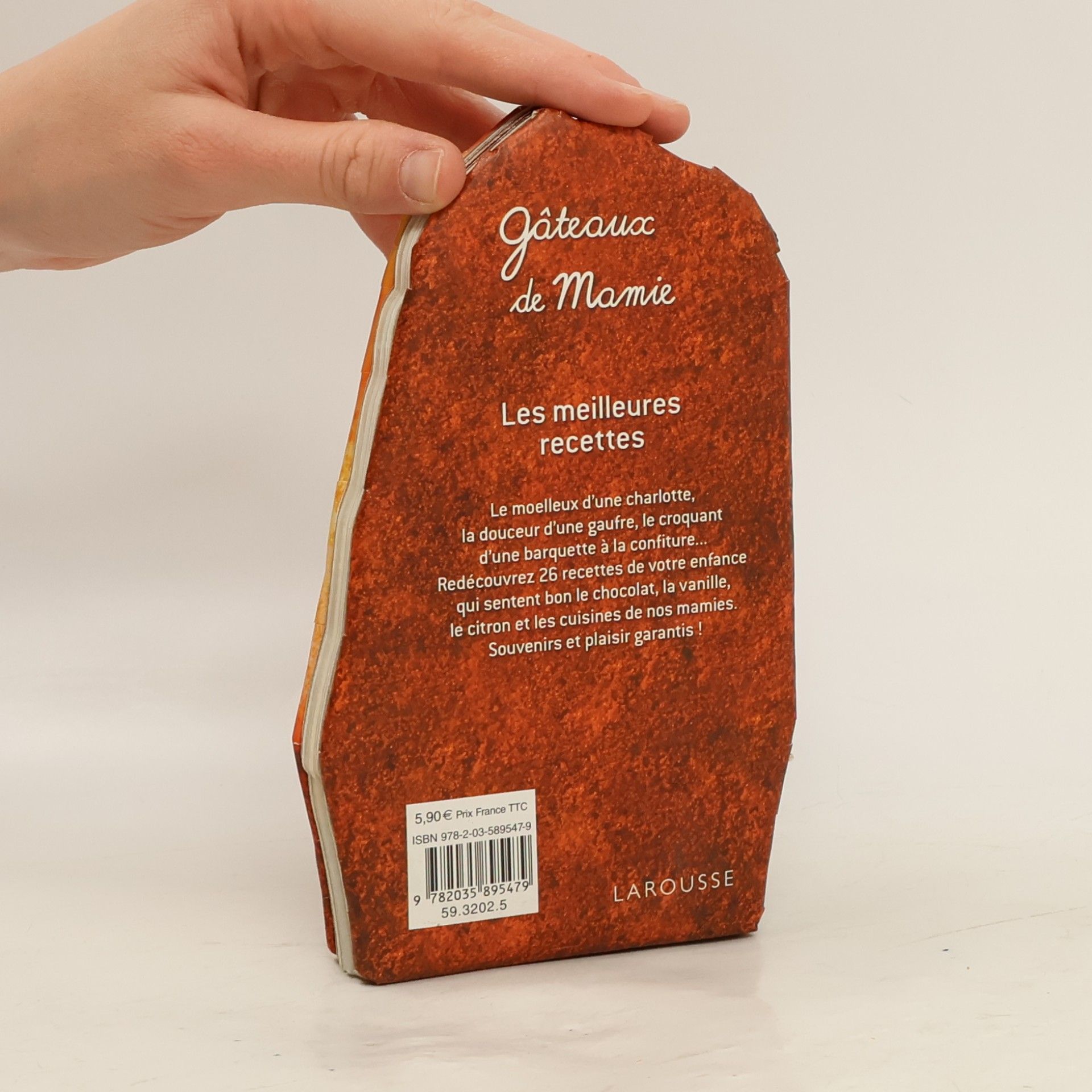 Larousse Délicieux gâteaux de mamie