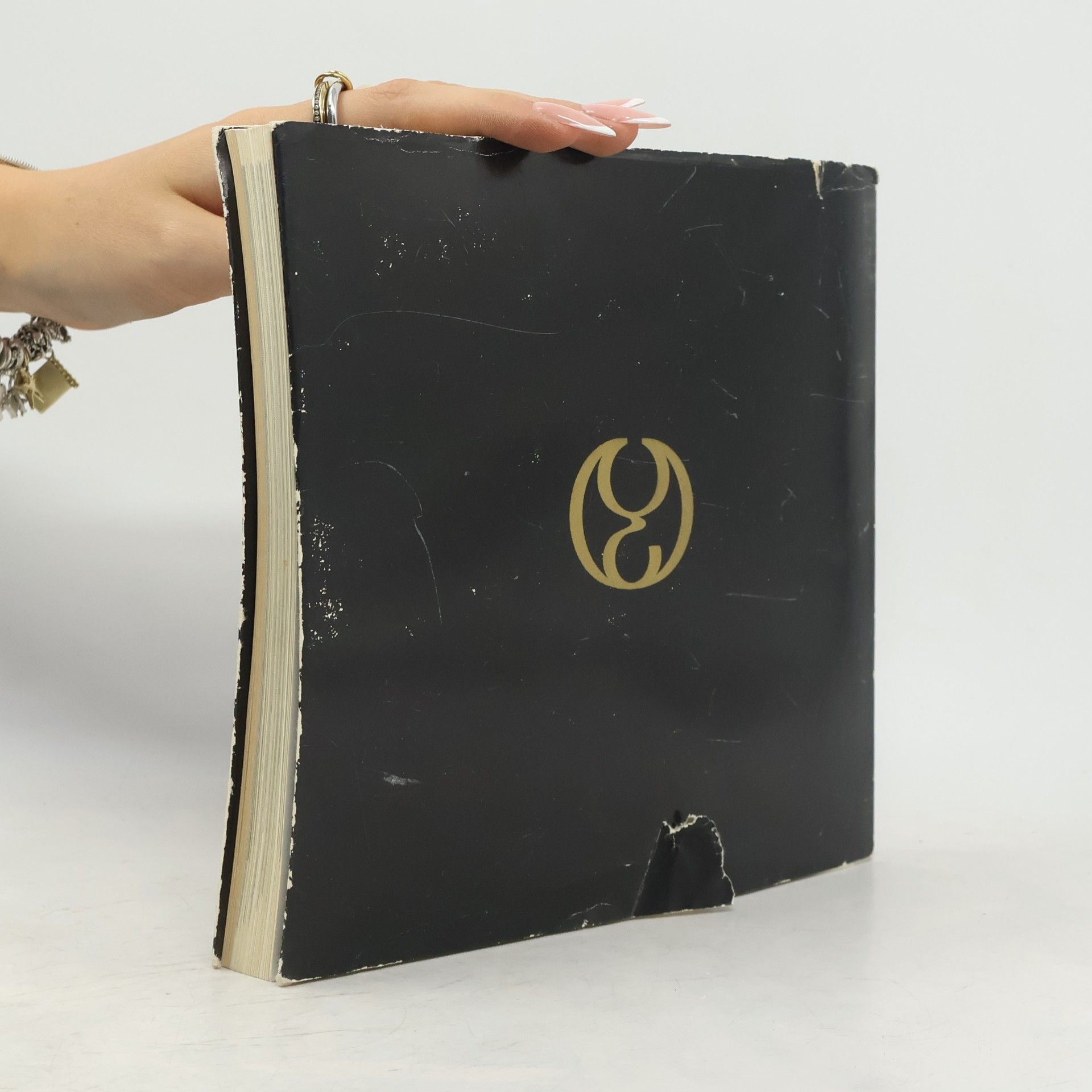 Collectif d'auteurs České malířství XX. století