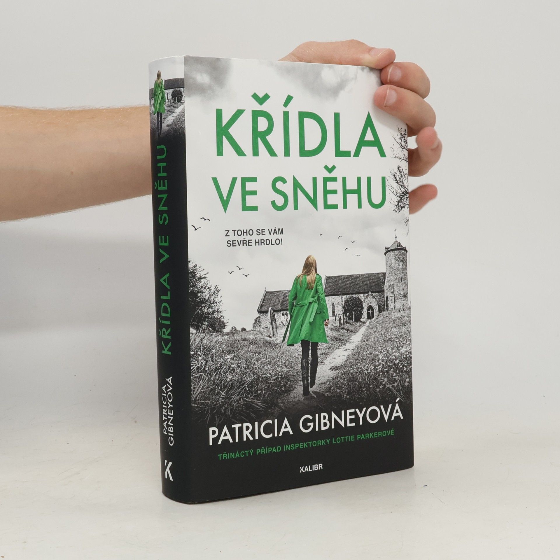 Patricia Gibney Křídla ve sněhu