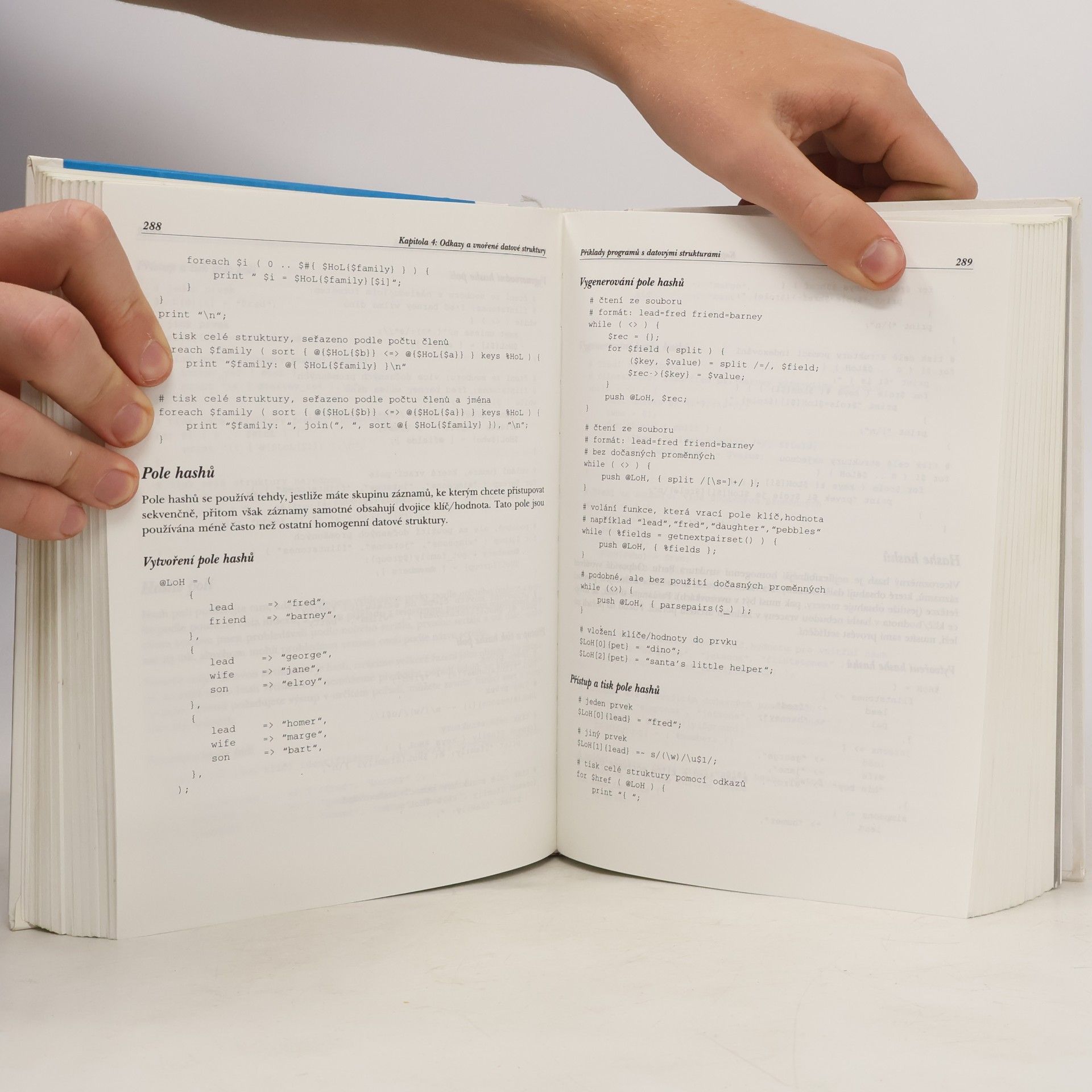 Larry Wall Programování v jazyce Perl