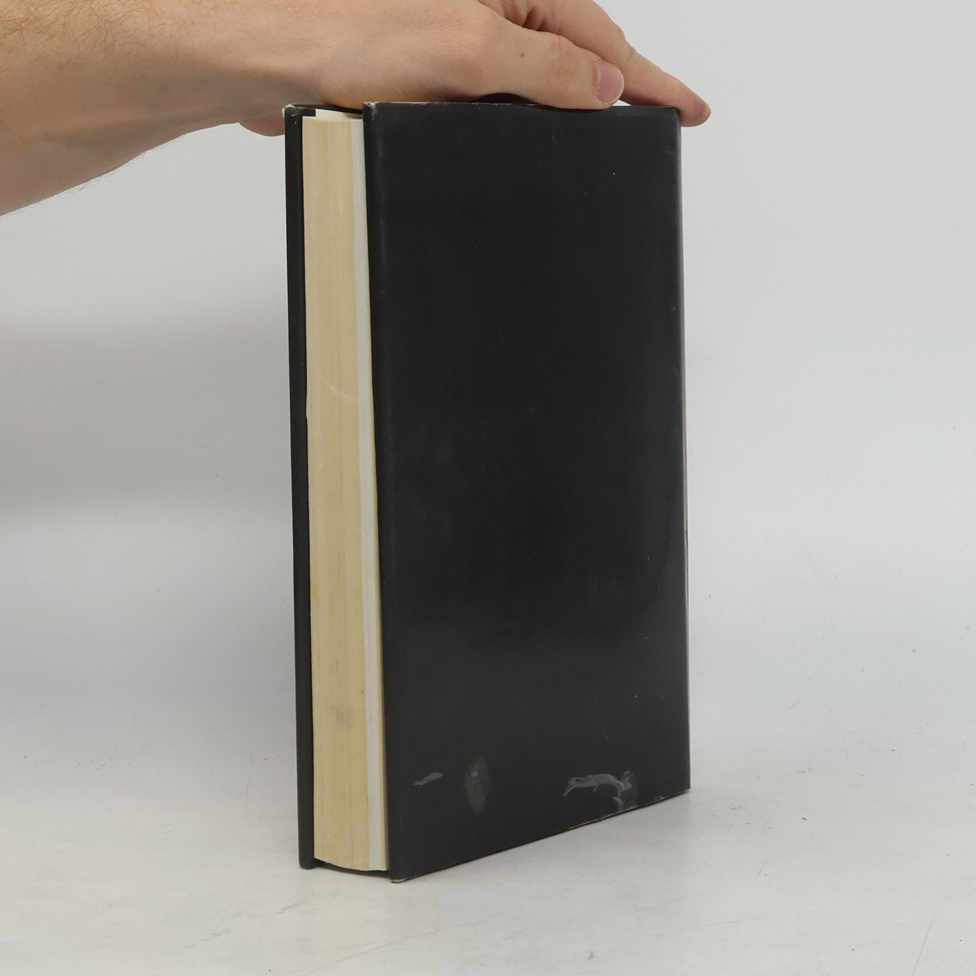 Len Deighton Wintrovi. Osudy jedné berlínské rodiny