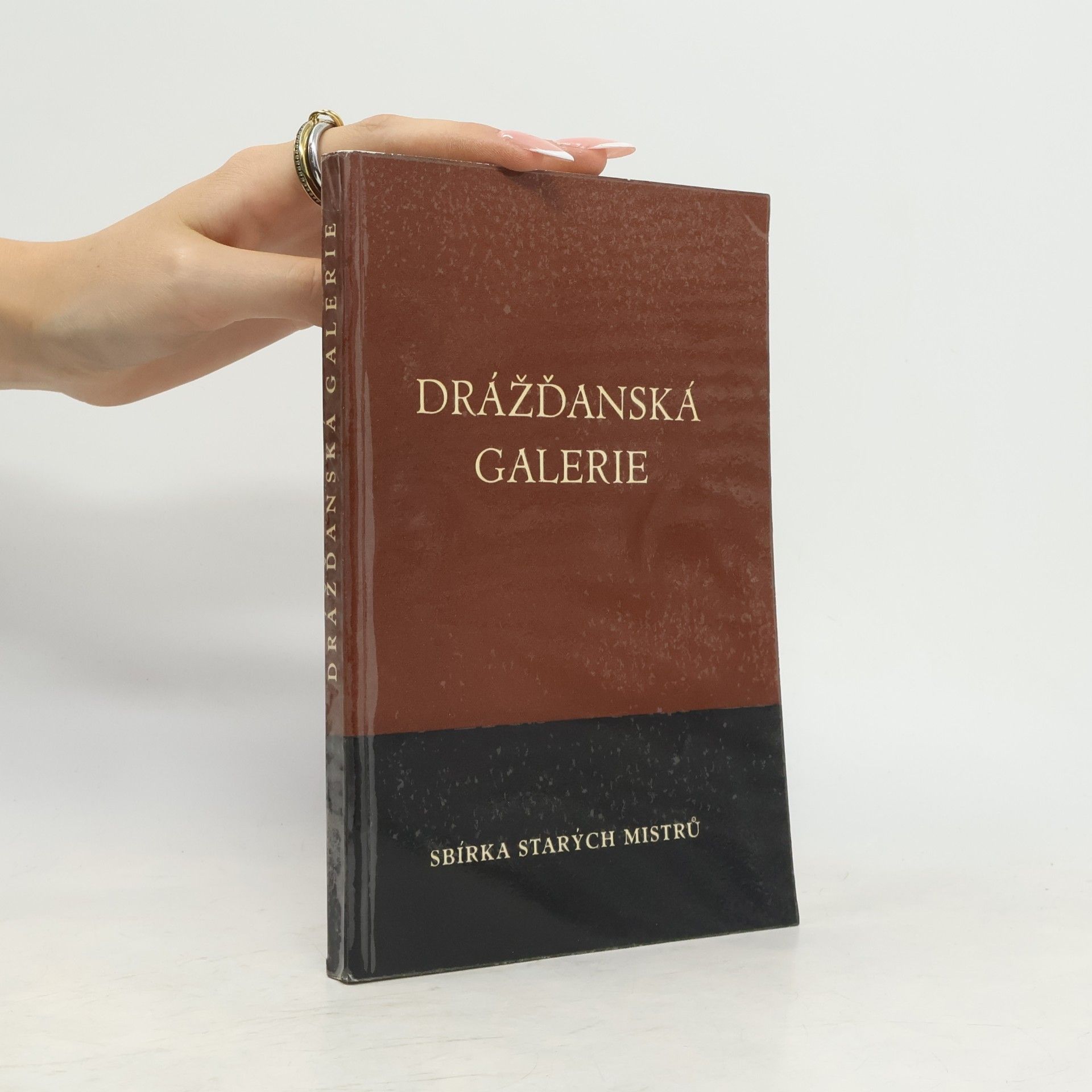 Vratislav Janda Drážďanská galerie: sbírka starých mistrů