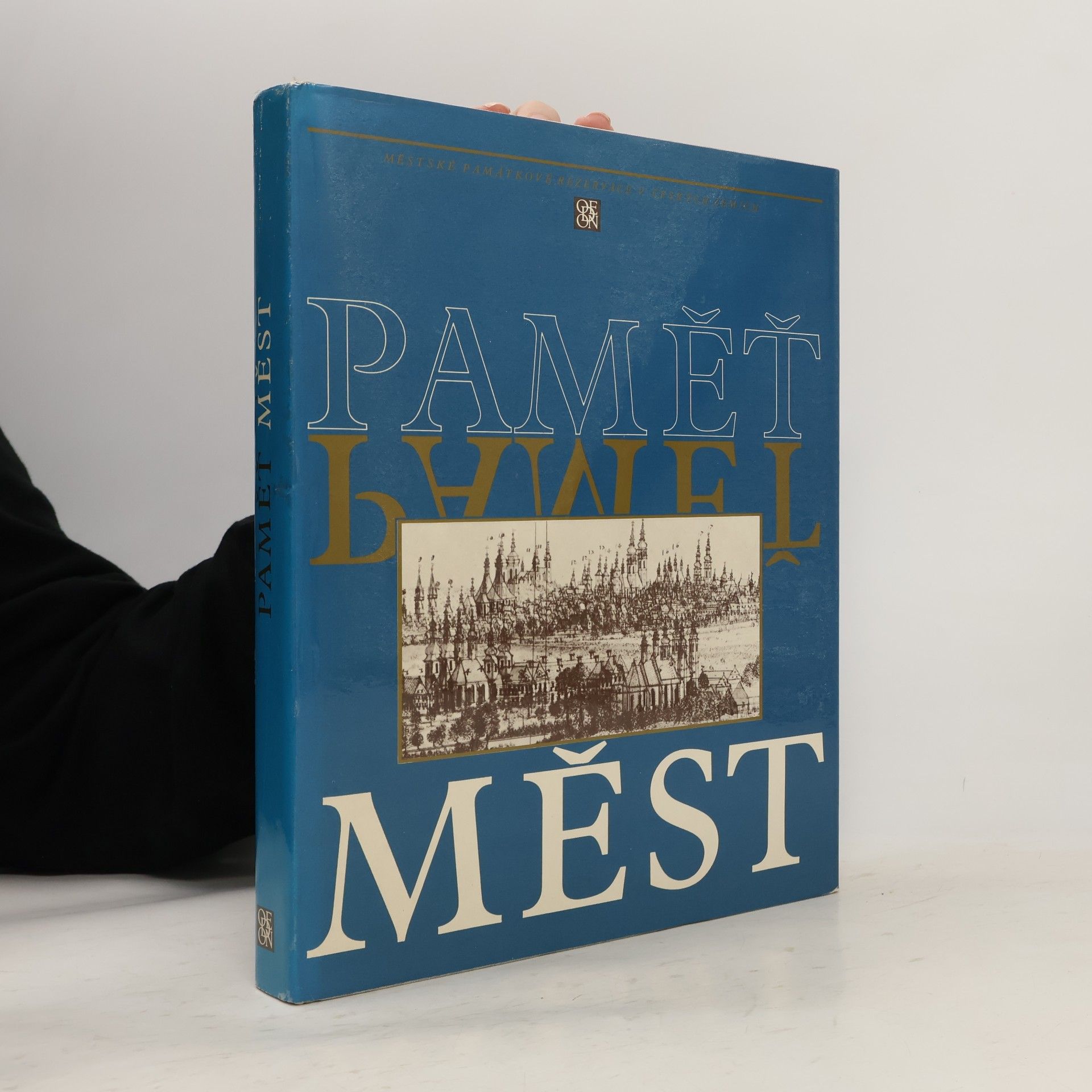 Autorenkollektiv Paměť měst