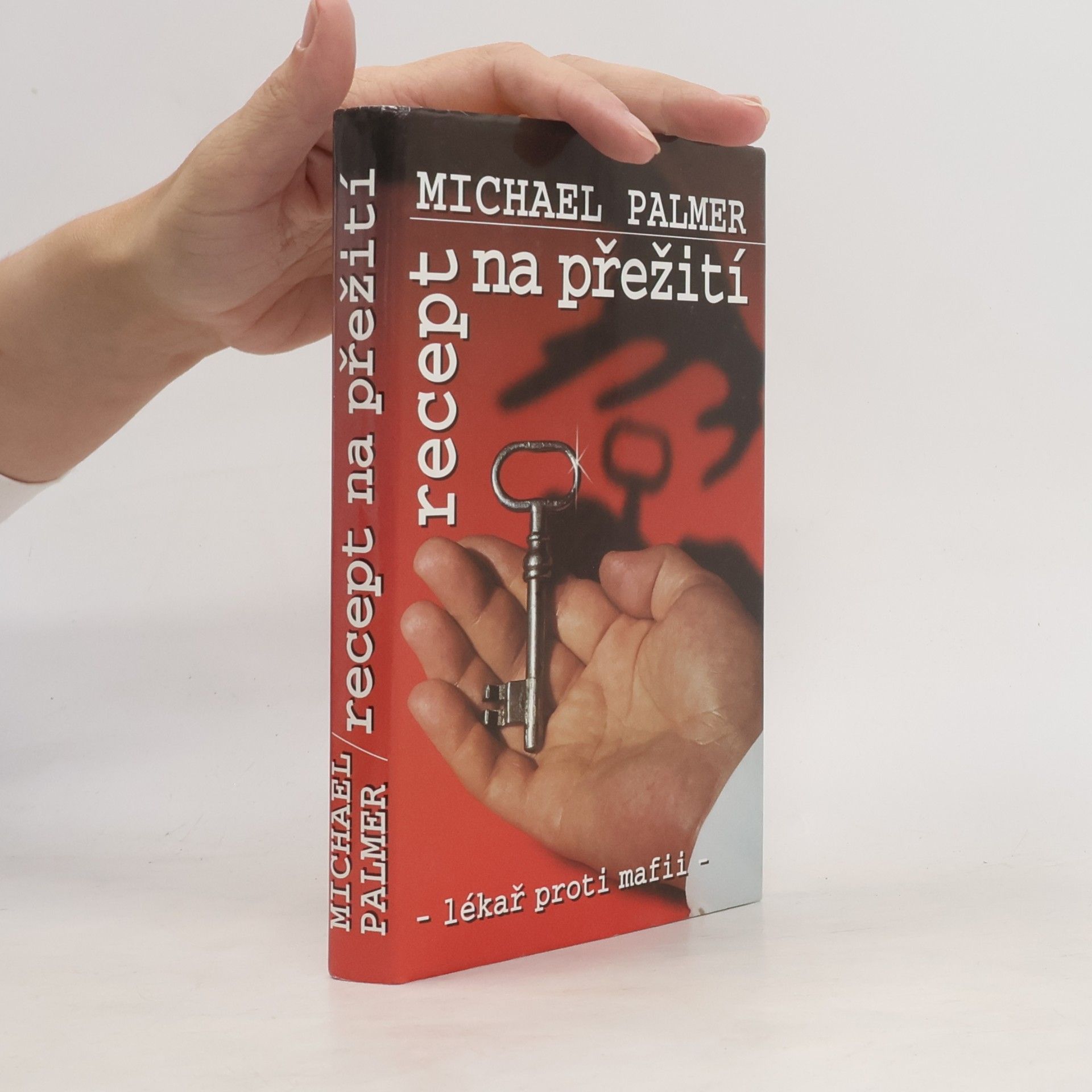 Michael Palmer Recept na přežití