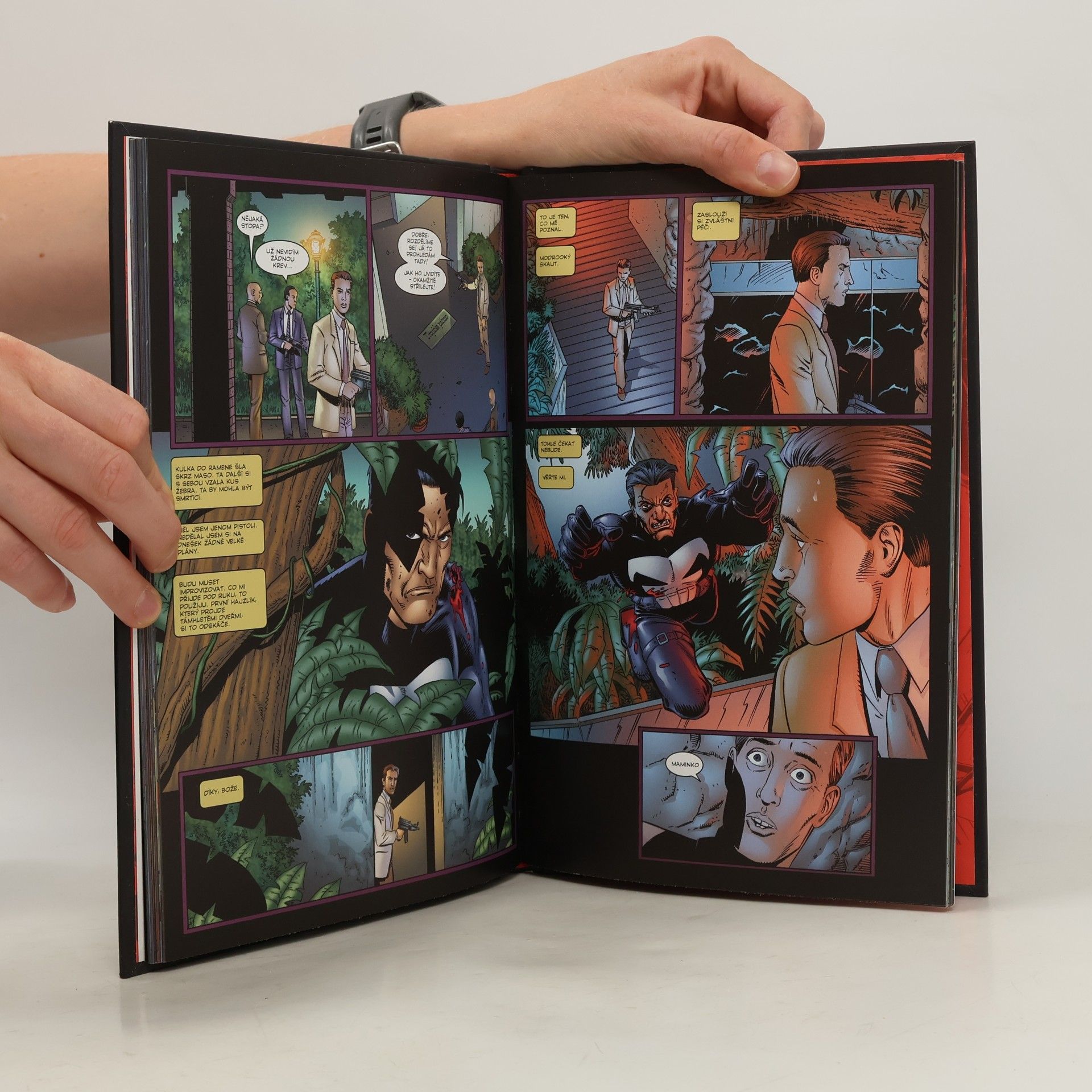 Garth Ennis Ultimátní komiksový komplet 15. Punisher