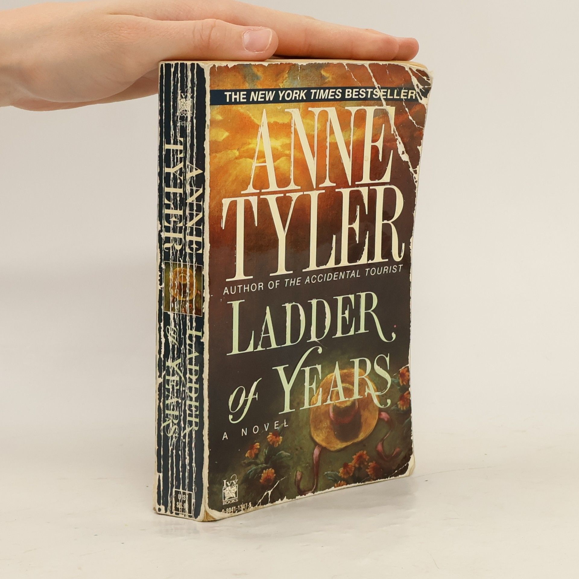 Anne Tyler Ladder of years
