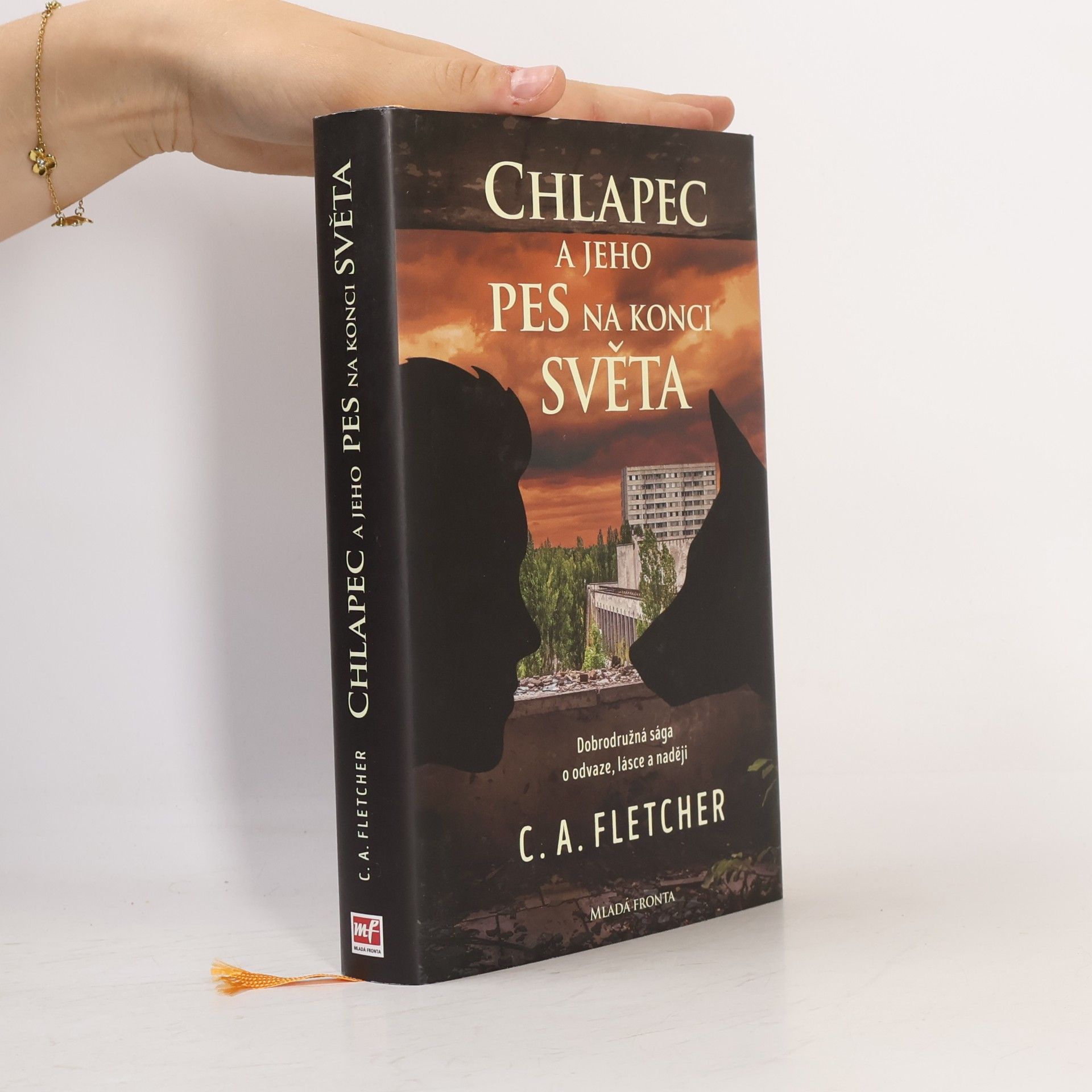 Charlie Fletcher Chlapec a jeho pes na konci světa