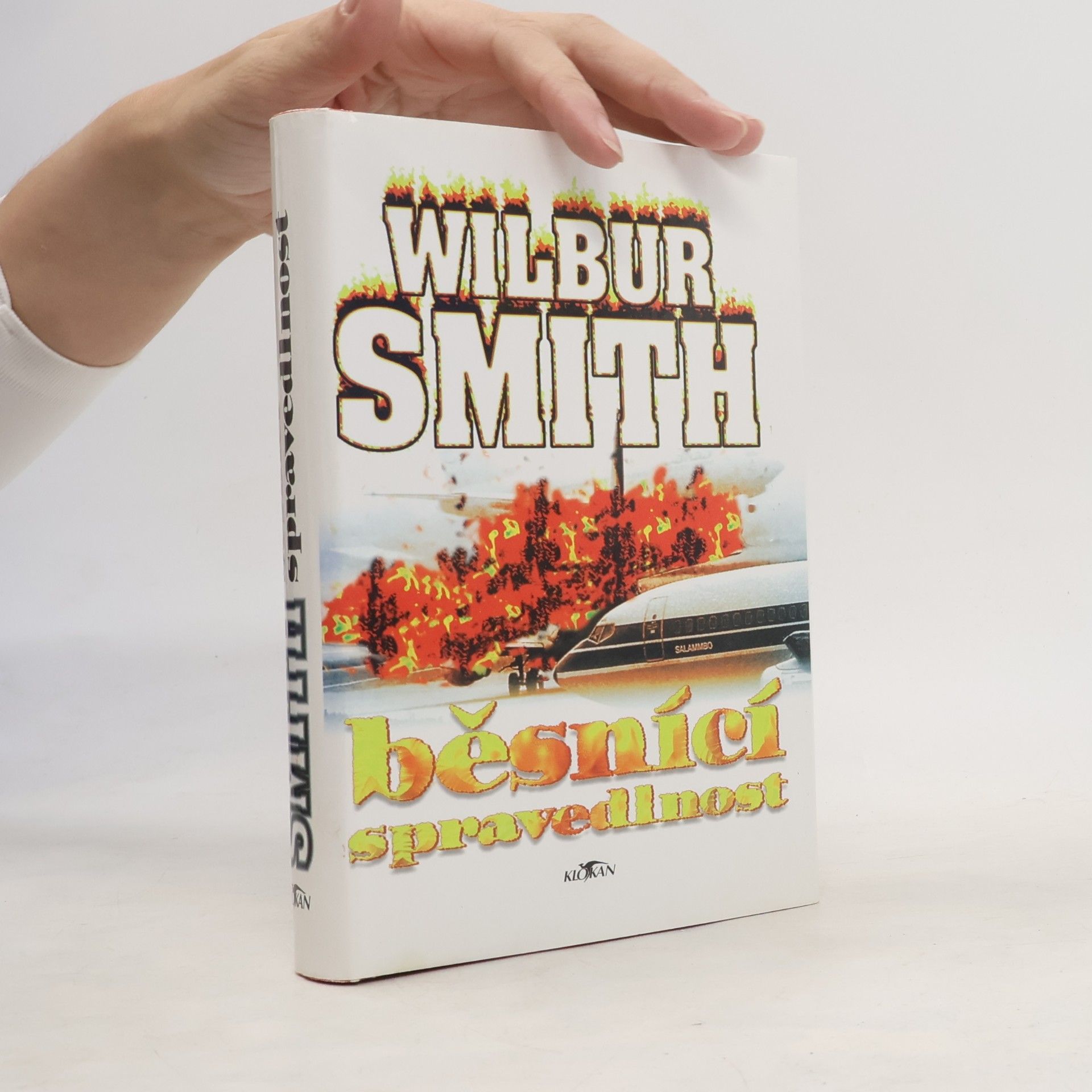 Wilbur A. Smith Běsnící spravedlnost