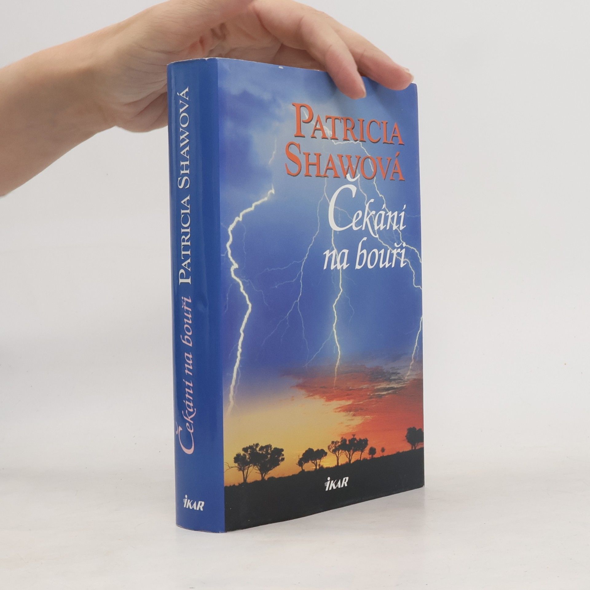 Patricia Shaw Čekání na bouři