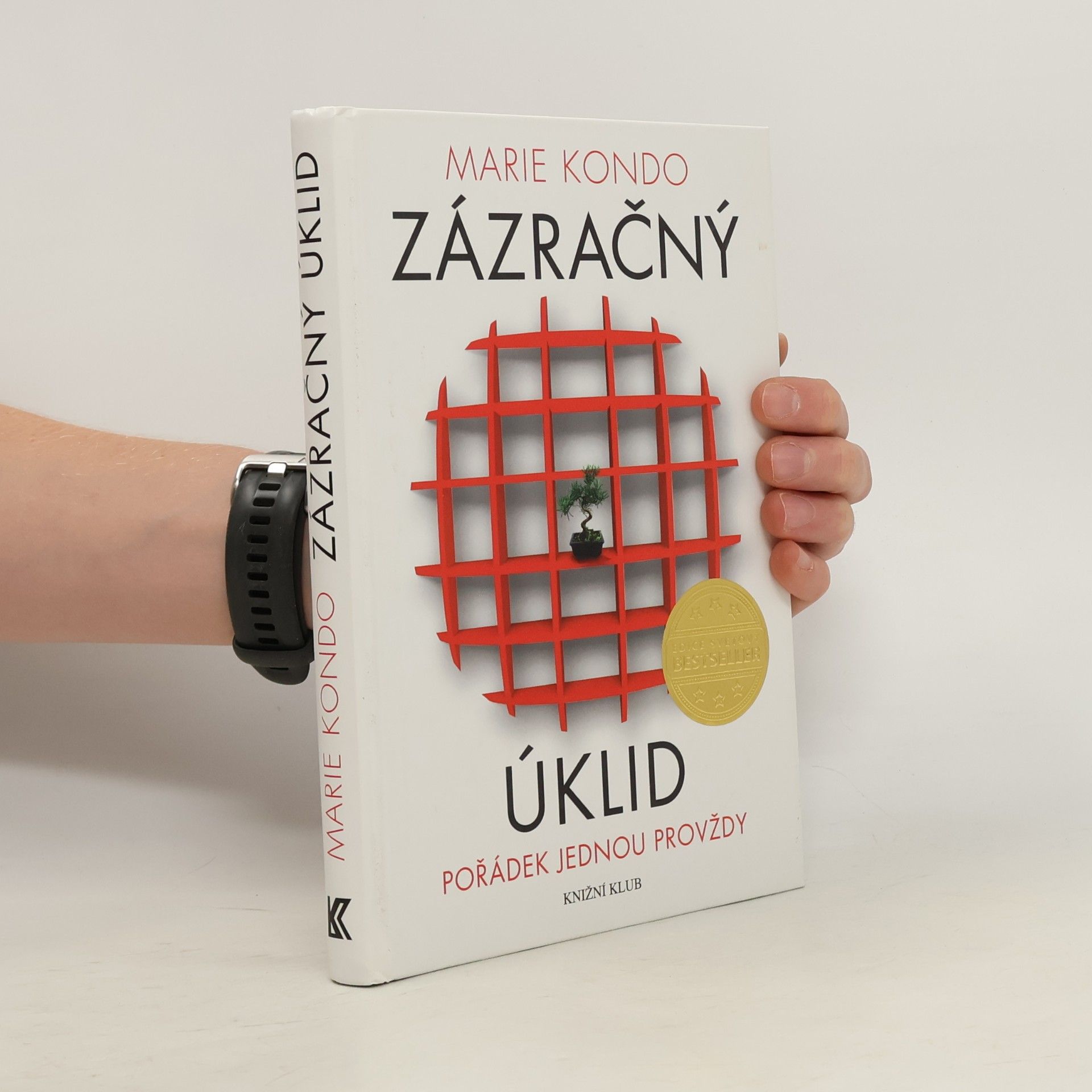 Zázračný úklid