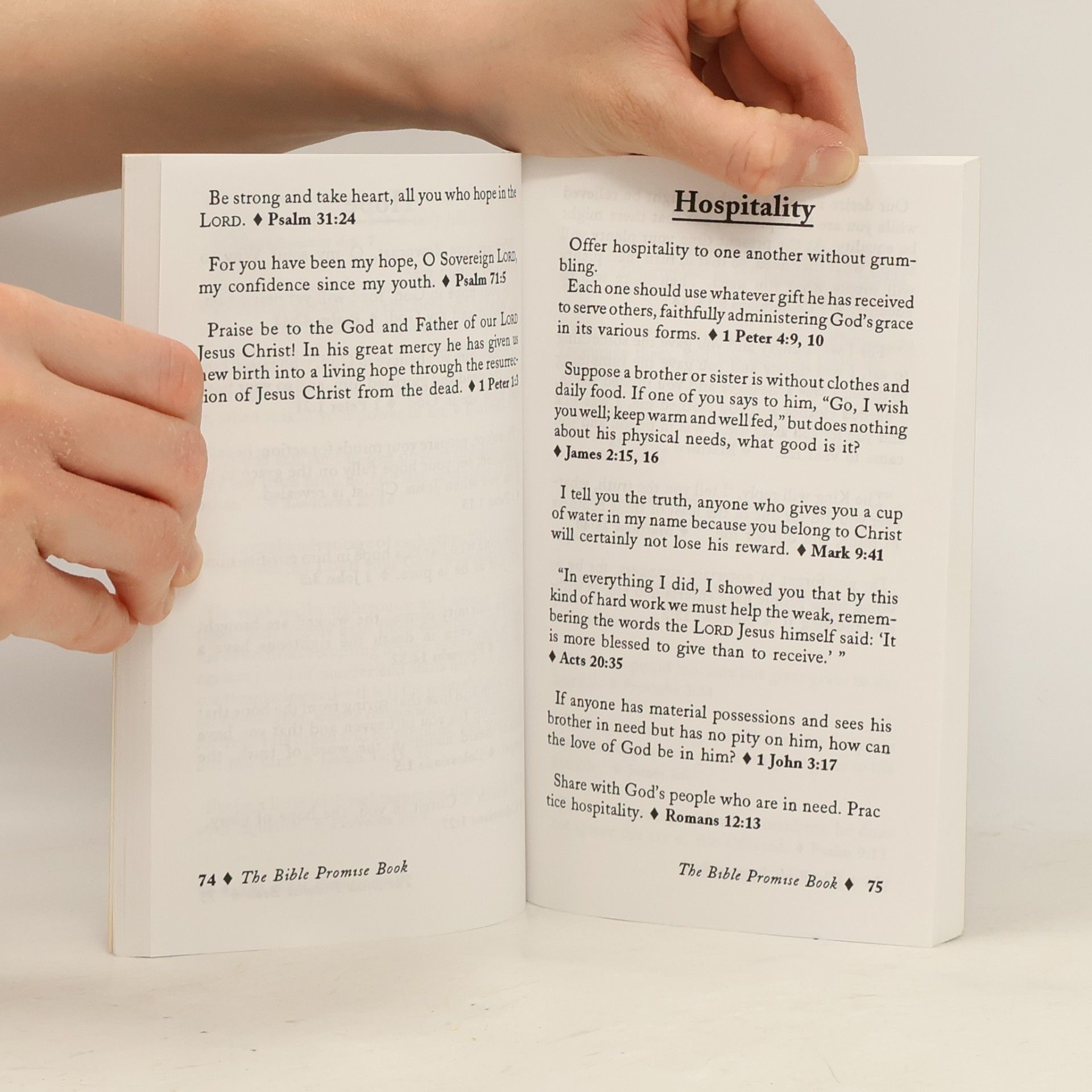 Barbour Publishing Bible Promise Books: The Bible Promise Book