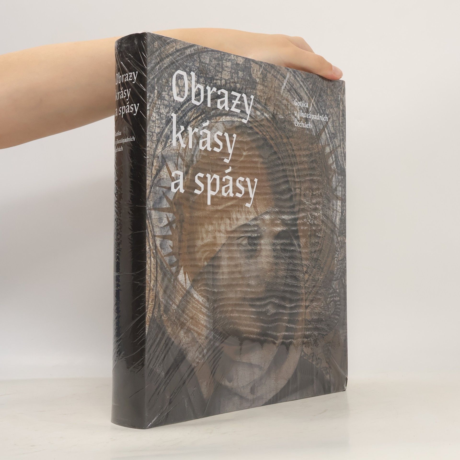 Michaela Ottová Obrazy krásy a spásy. Gotika v jihozápadních Čechách
