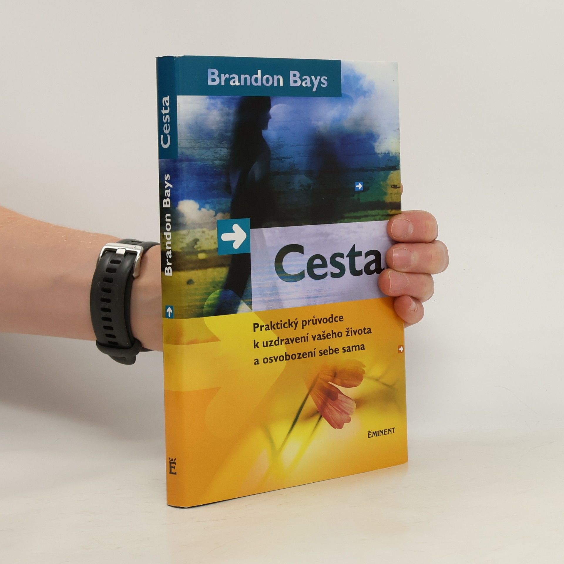 Brandon Bays Cesta