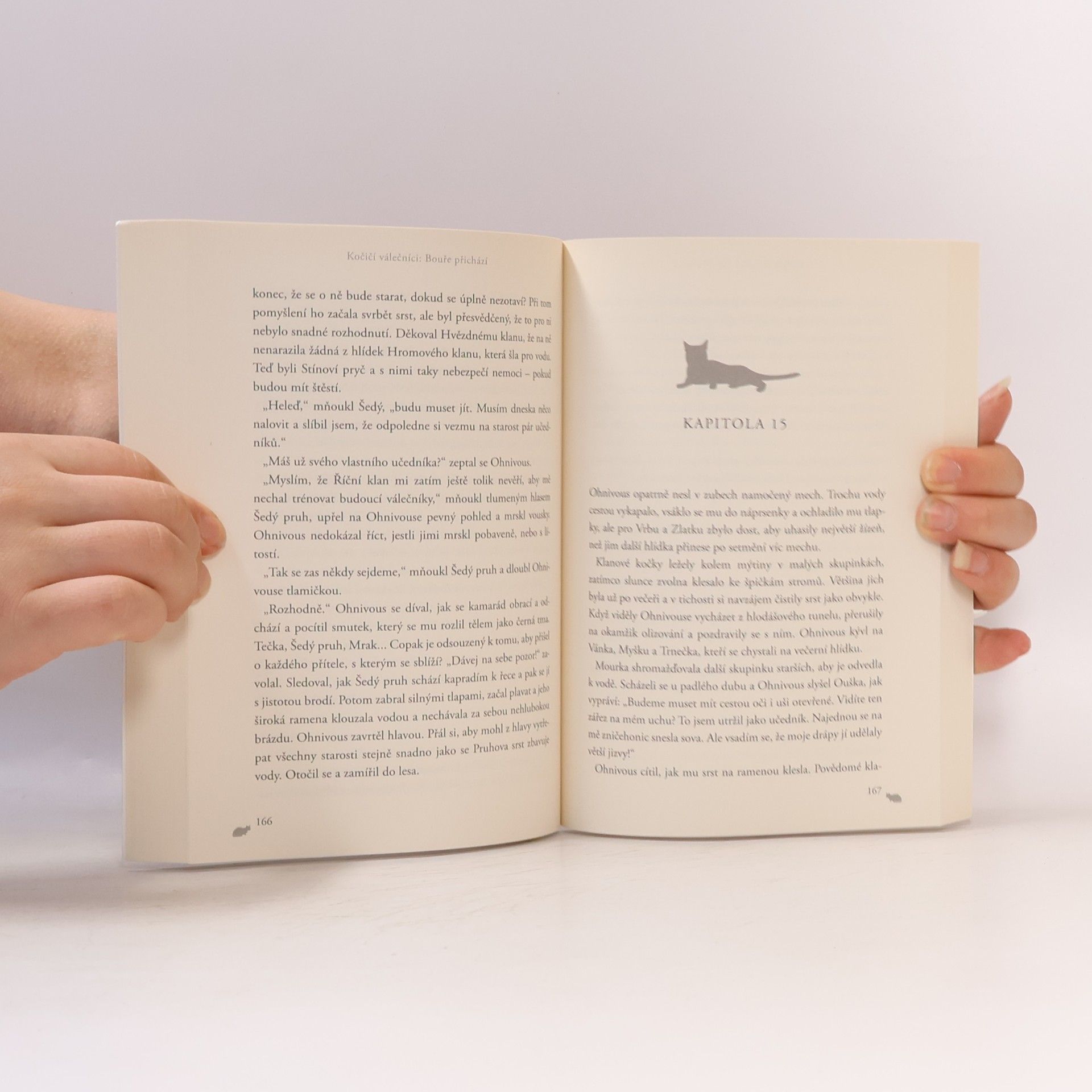 Erin Hunter Kočičí válečníci. Bouře přichází