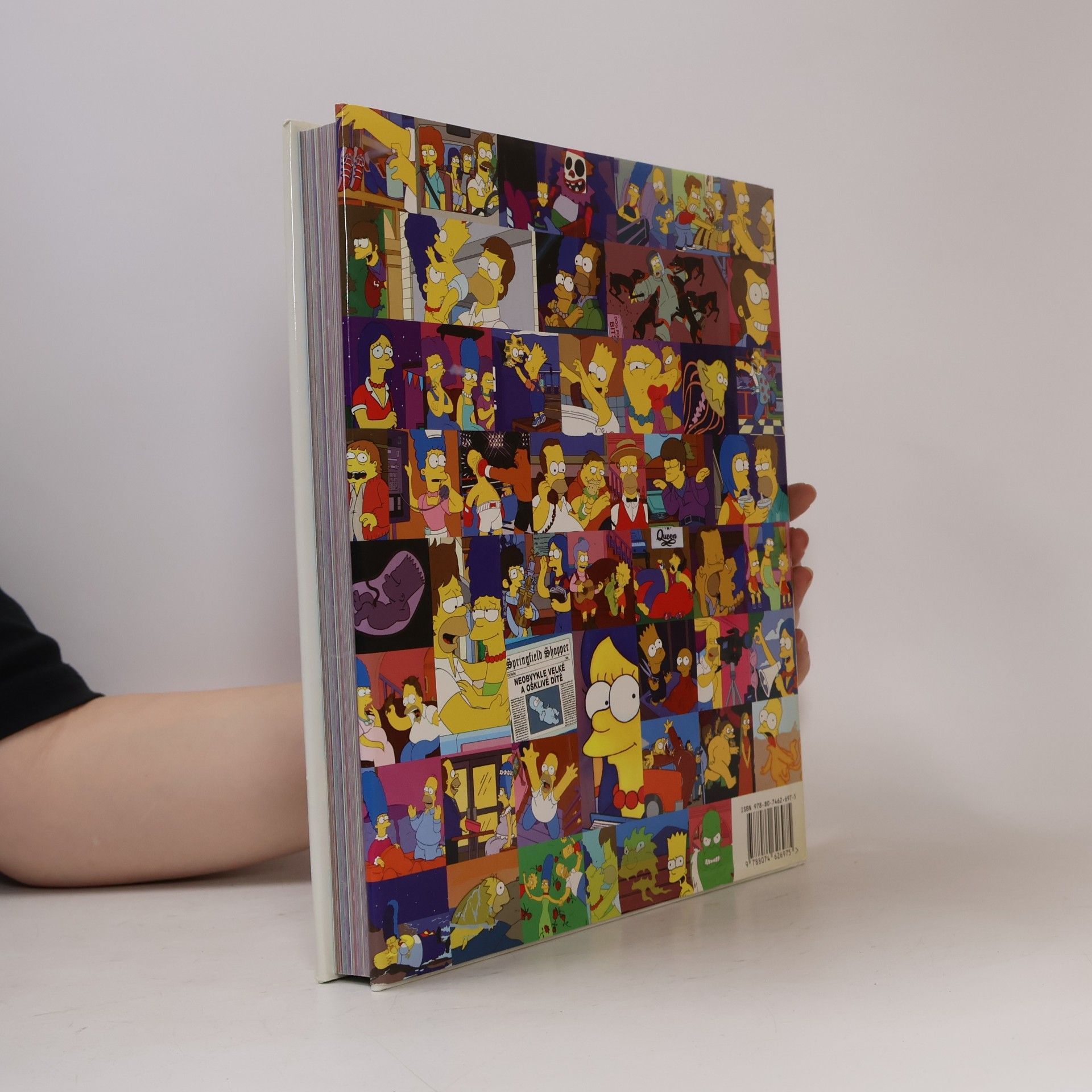 Matt Groening Simpsonovi. Rodinná historie