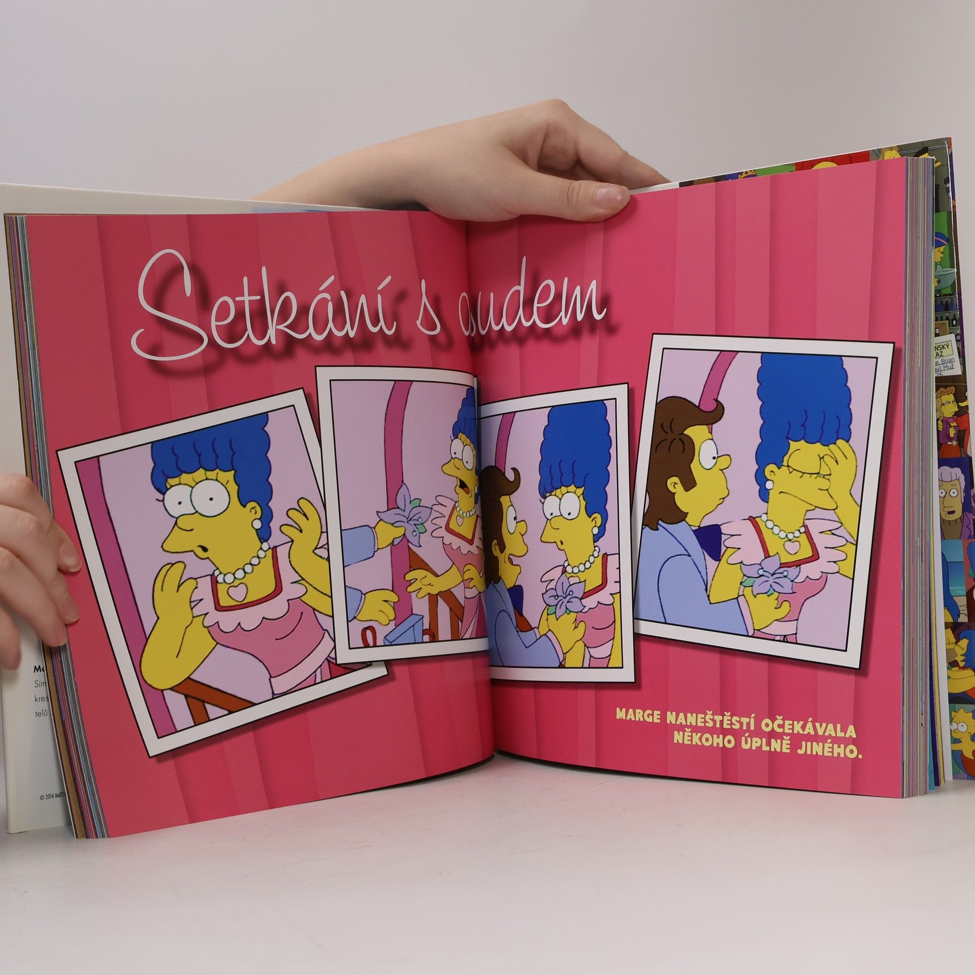 Matt Groening Simpsonovi. Rodinná historie