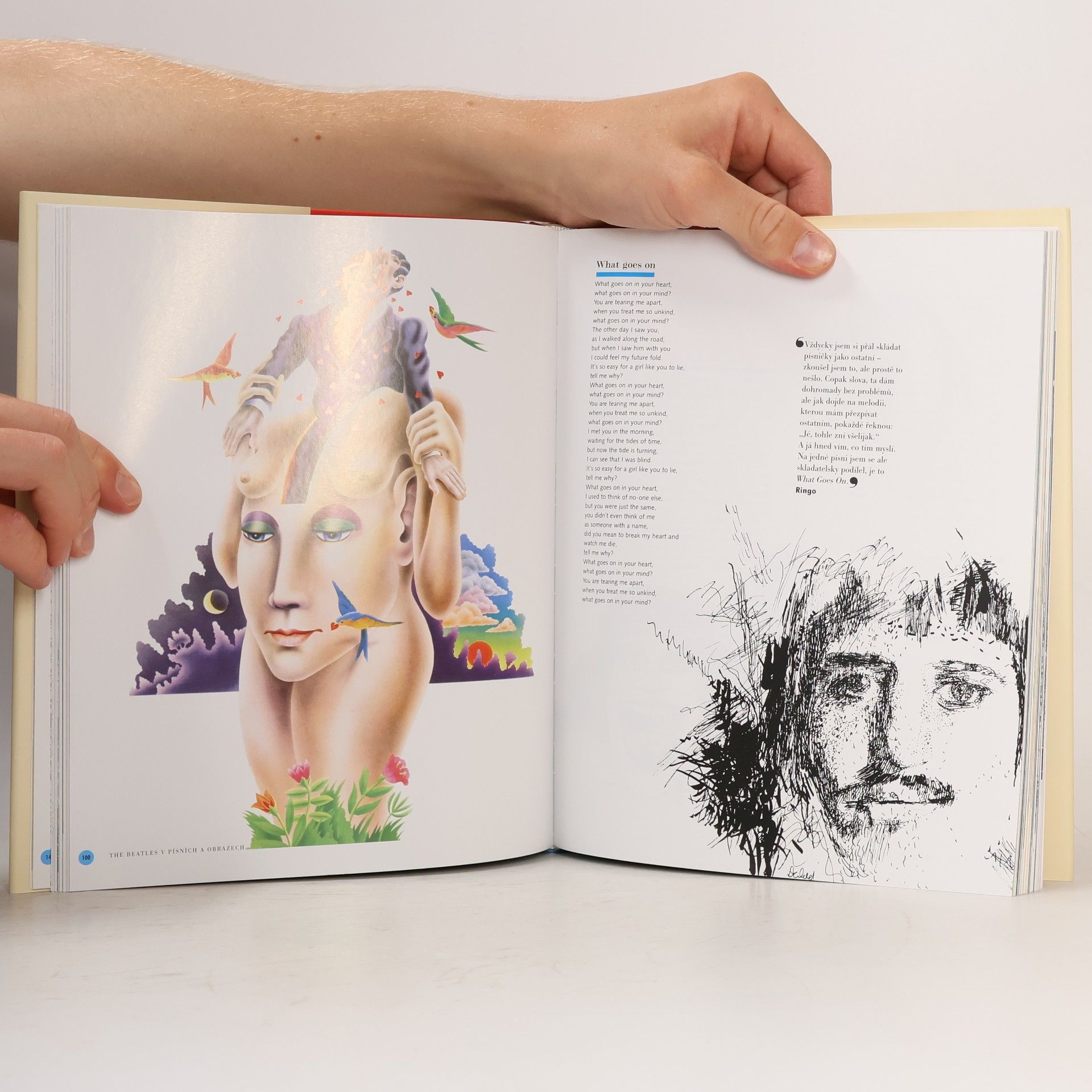 Alan Aldridge Beatles v písních a obrazech
