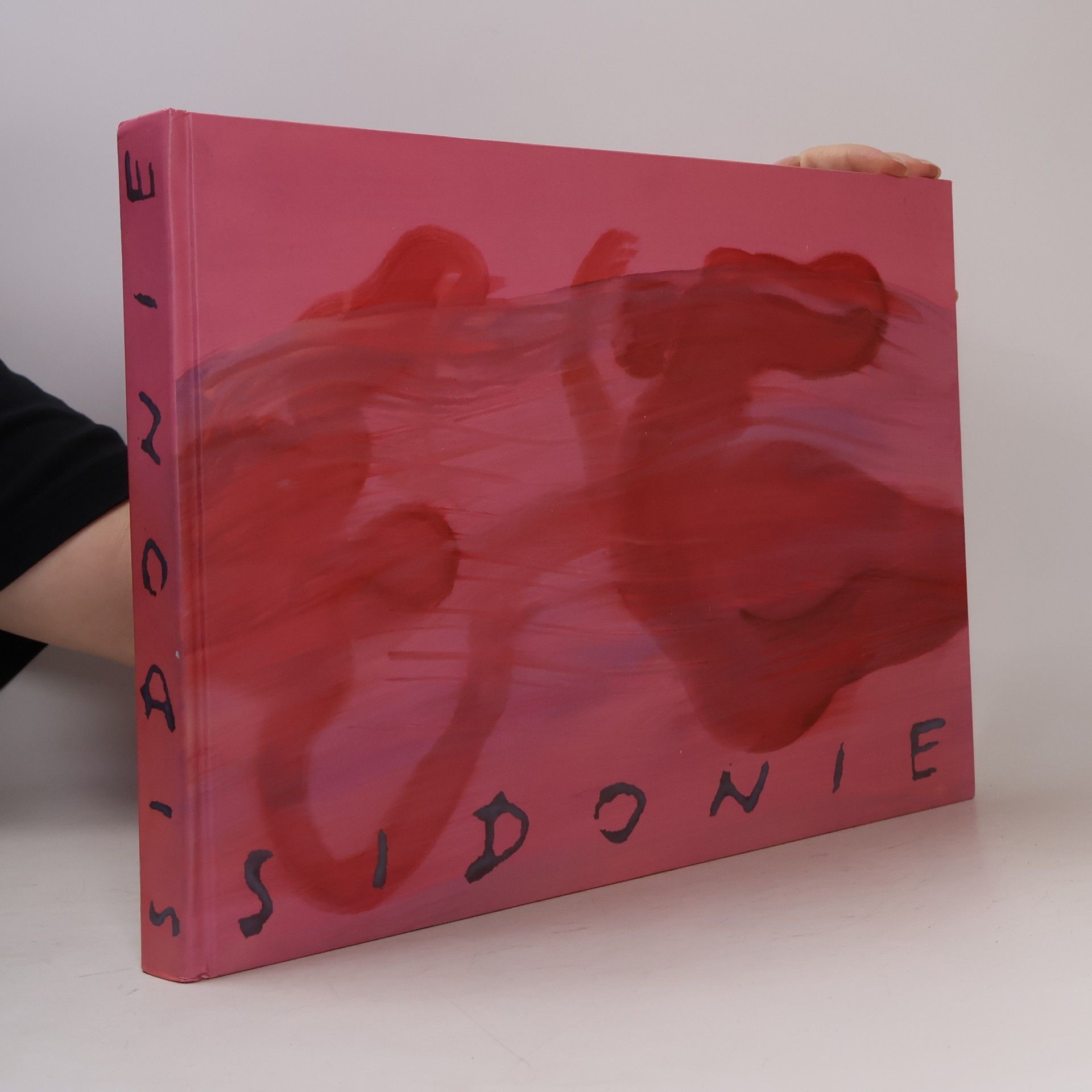 Jana Šindelová Sidonie: obrazy Zdeny Strobachové