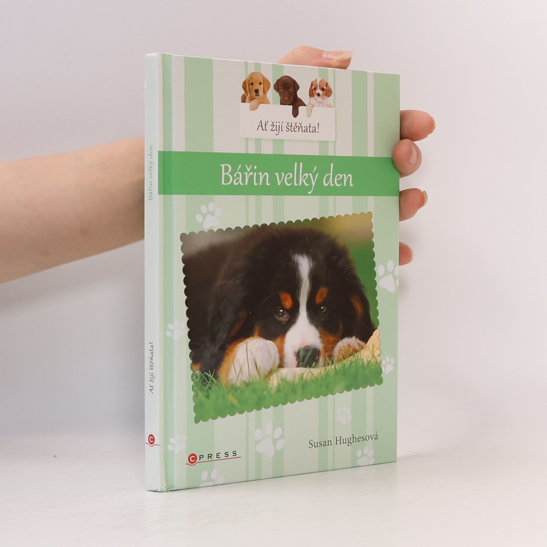 Susan Hughes Bářin velký den