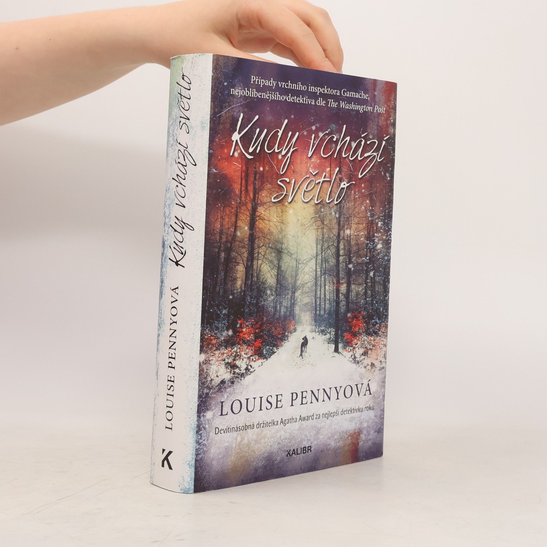 Louise Penny Kudy vchází světlo