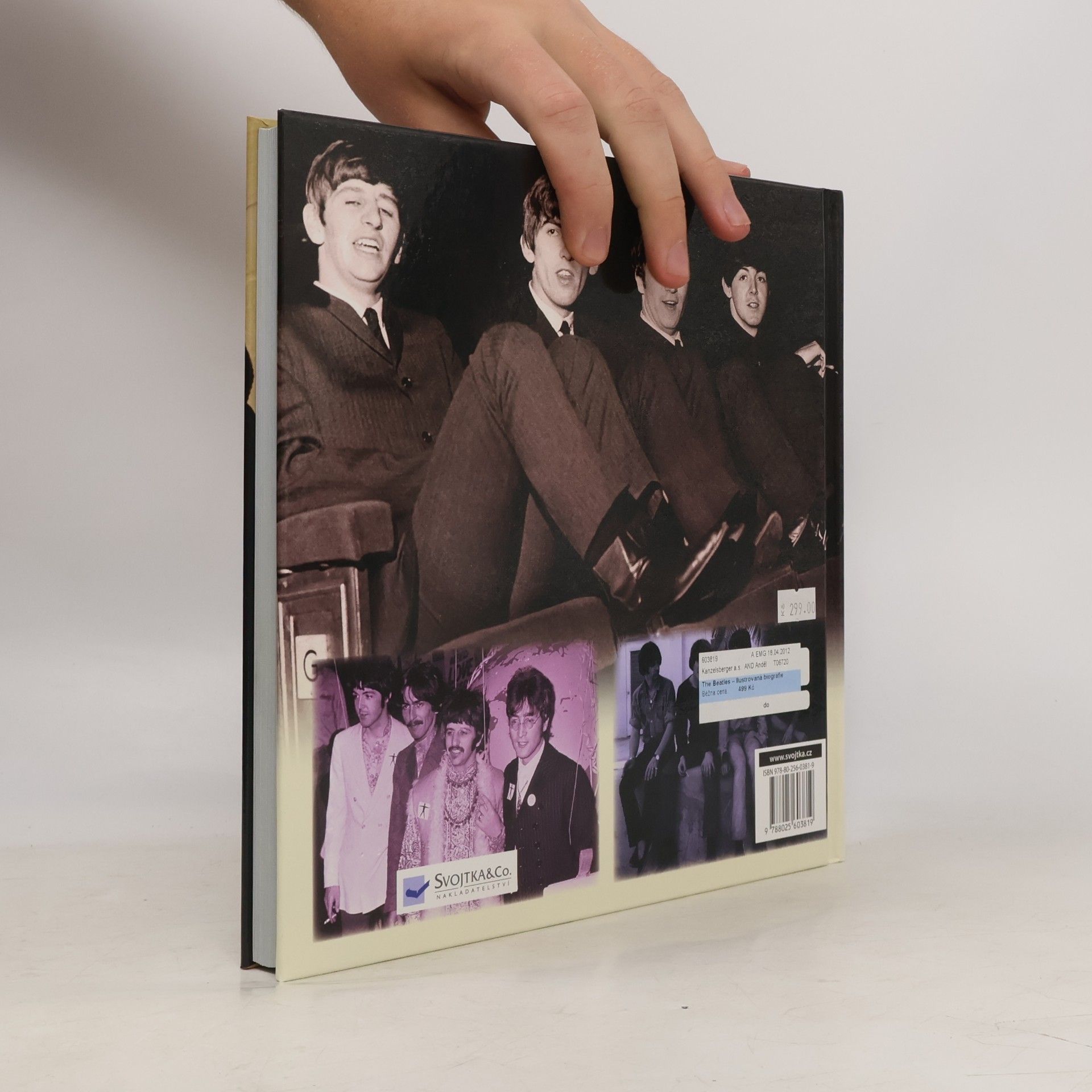 Tim Hill The Beatles: Ilustrovaná biografie