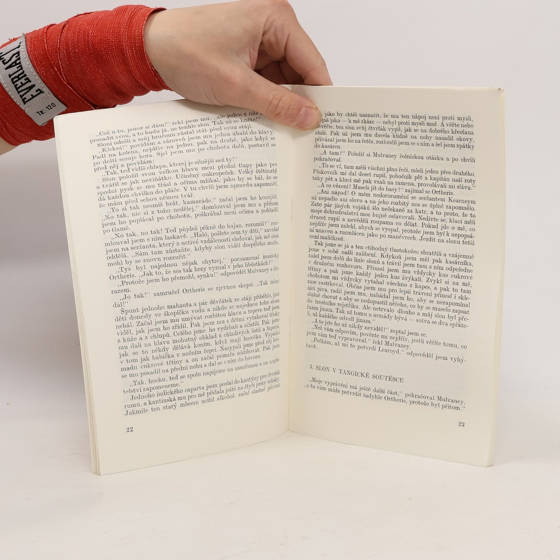 Rudyard Kipling Tři mušketýři
