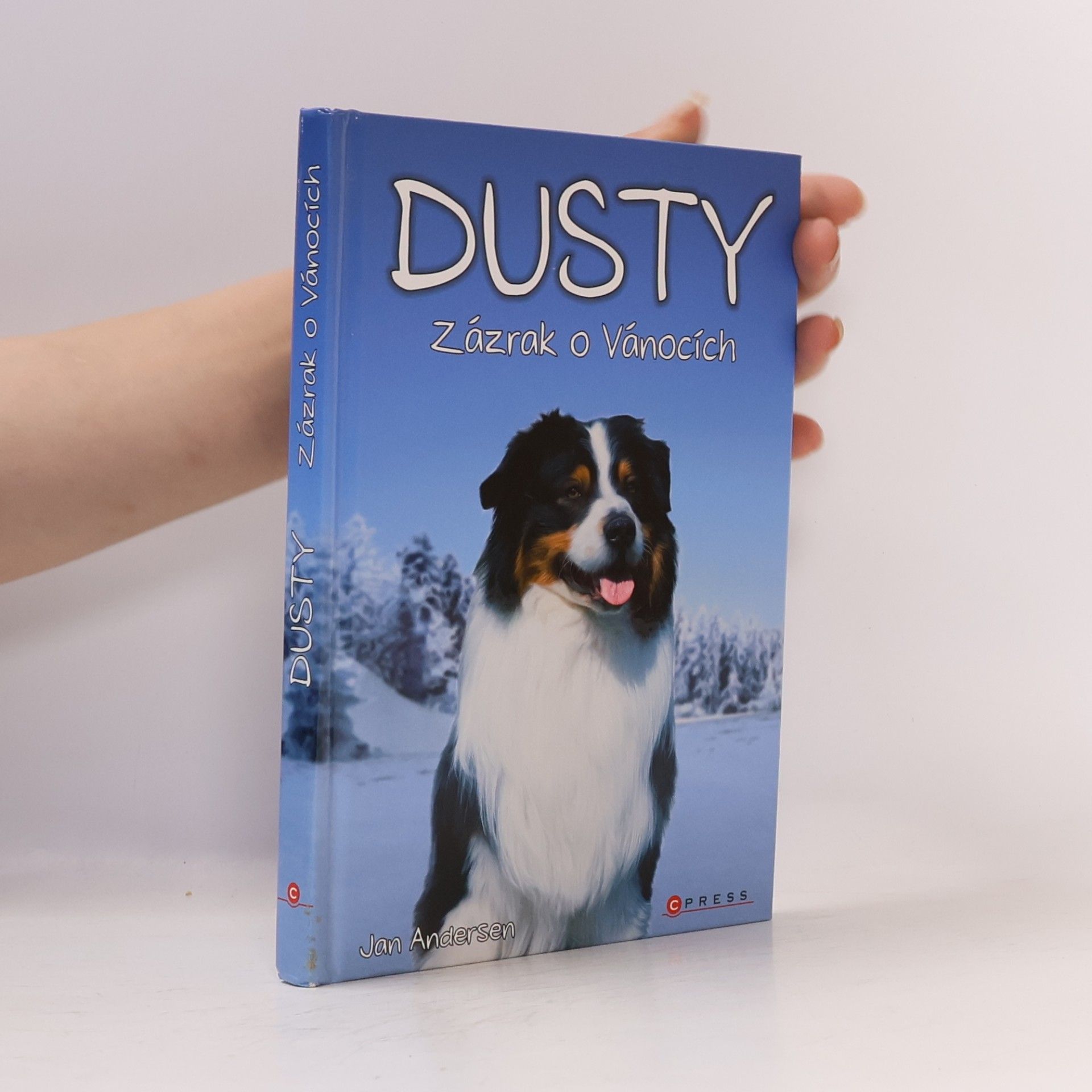 Wolfram Hänel Dusty: Zázrak o Vánocích
