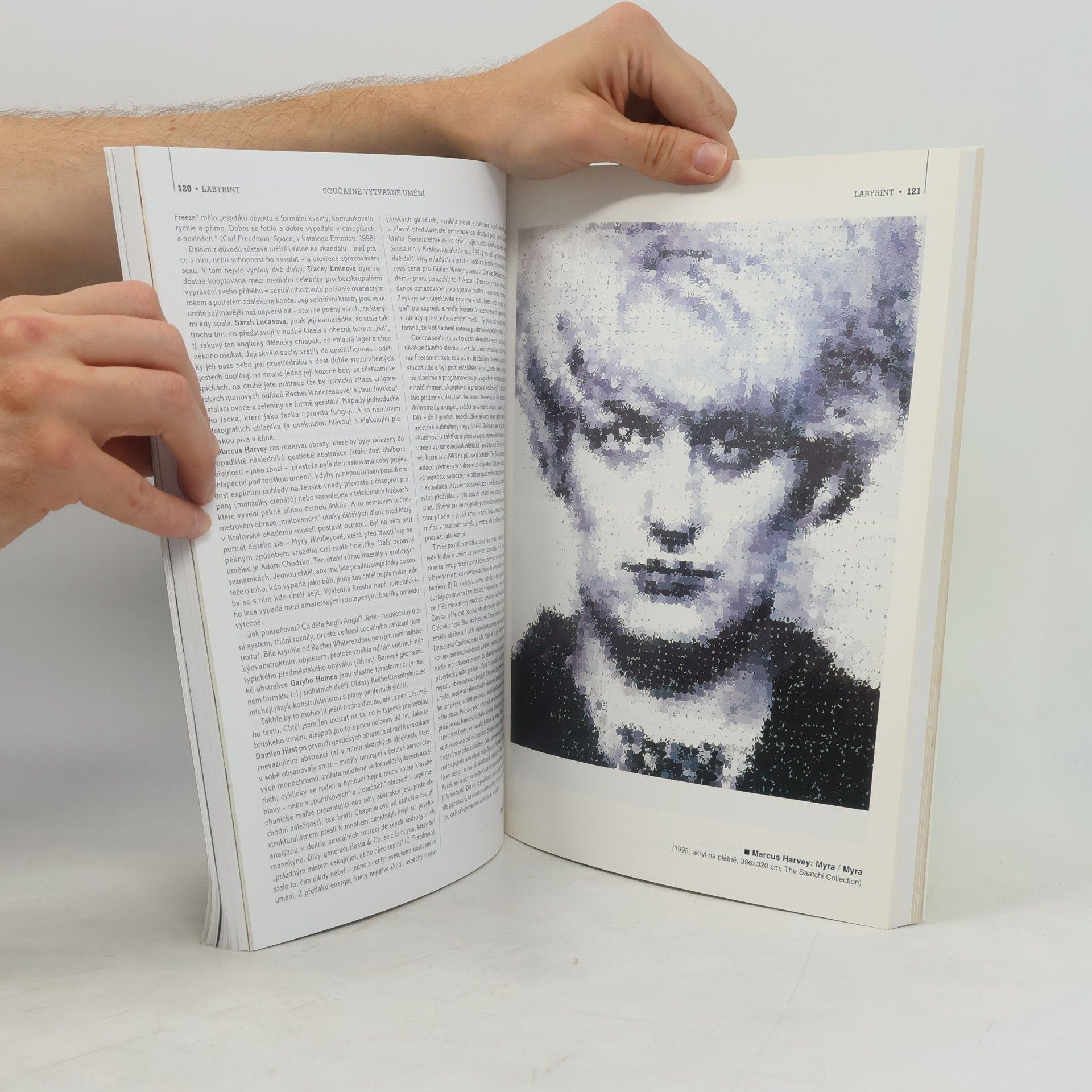 Autorenkollektiv Revue Labyrint. Číslo 5-6.