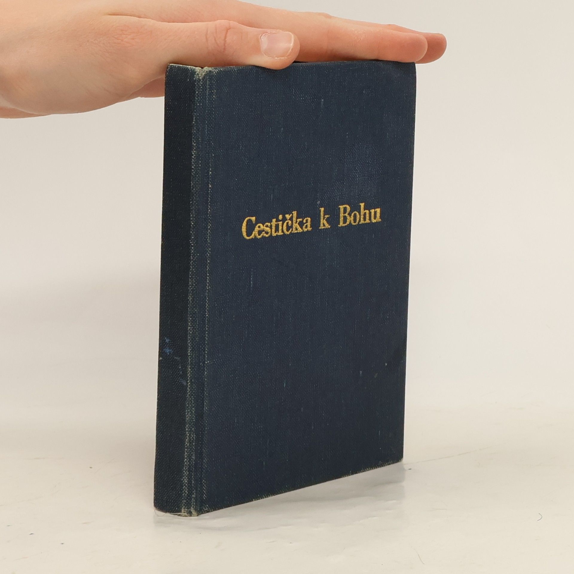 Ferdinand Neubauer Cestička k Bohu
