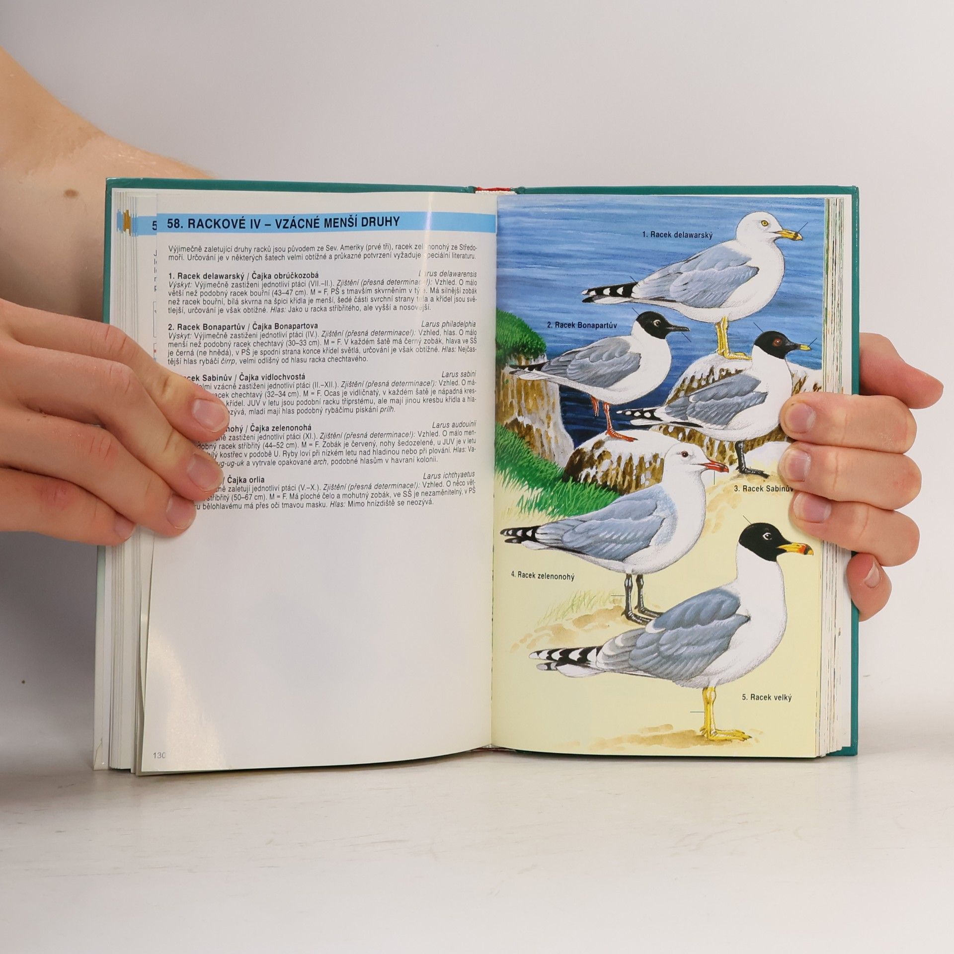Jan Dungel Atlas ptáků České a Slovenské republiky