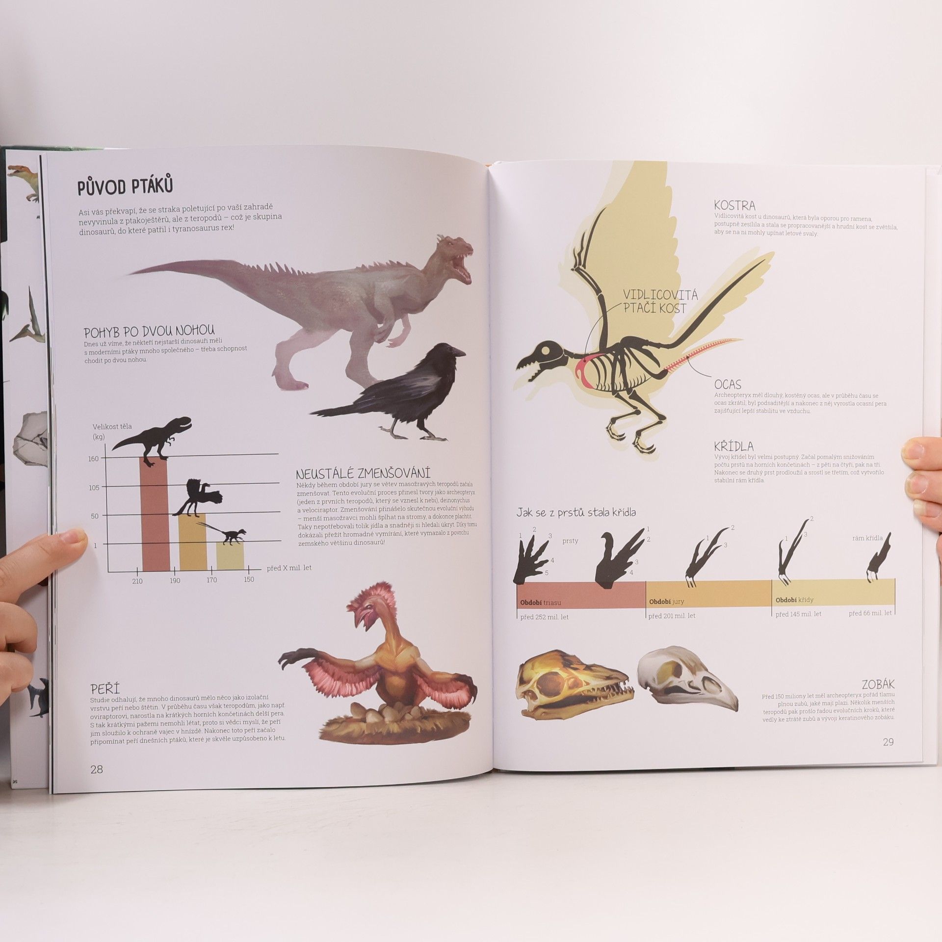 Kolektiv autorů Věk dinosaurů