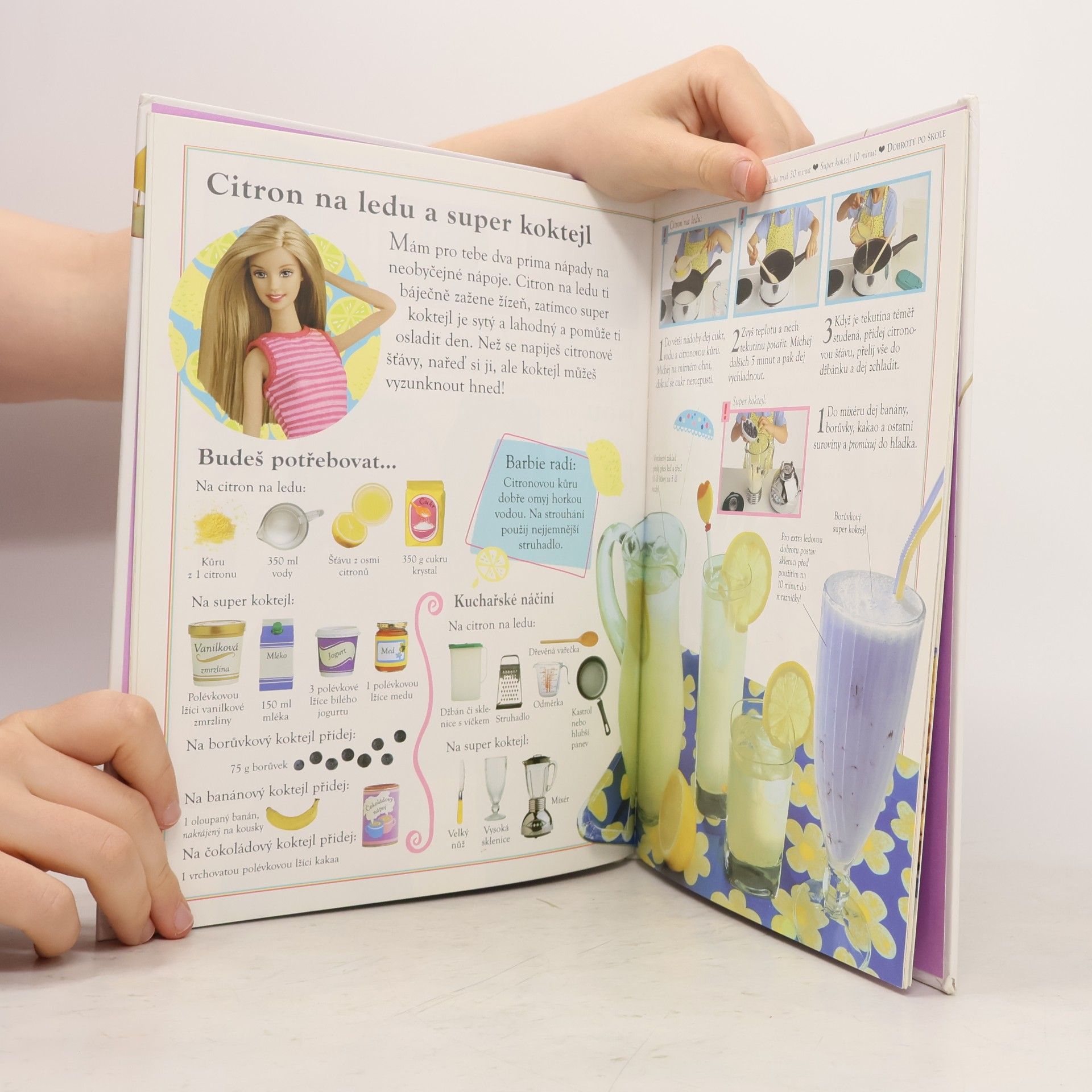 Fiona Munro Barbie - Dobrou chuť! : parádní recepty krok za krokem