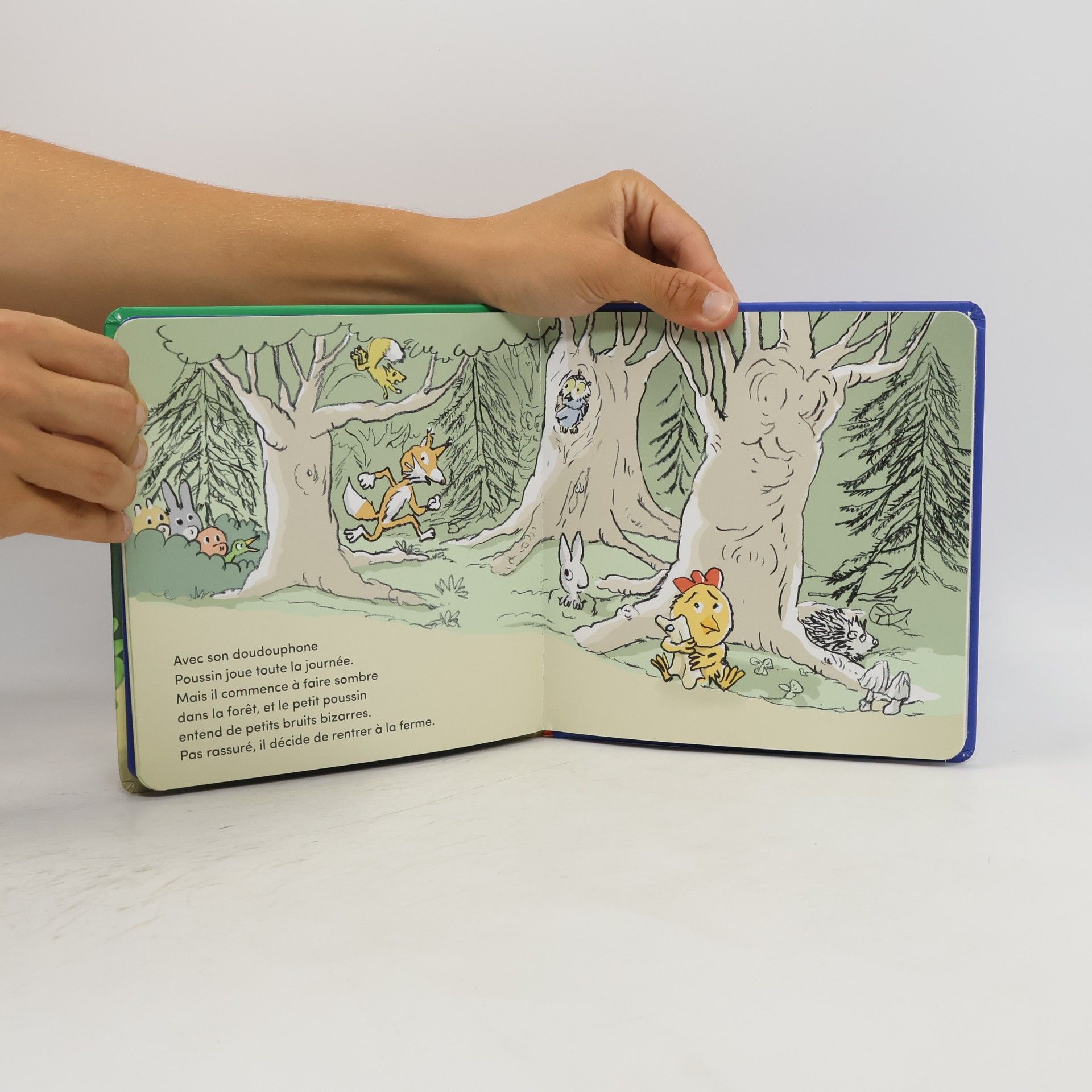 Jean Charles Sarrazin Les Belles Histoires des petits: Le doudouphone