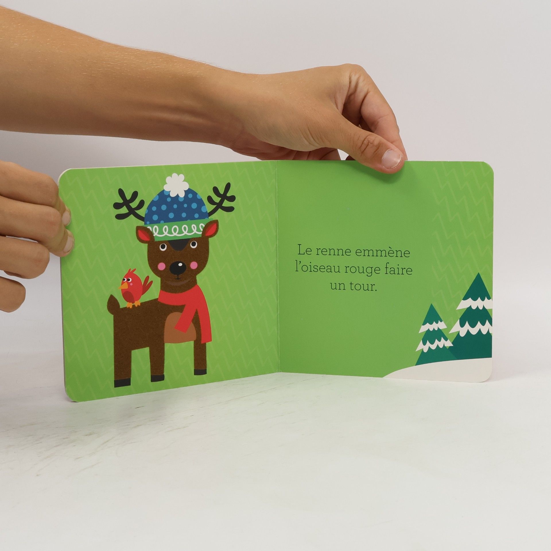 Collectif d'auteurs Les amis de Noël