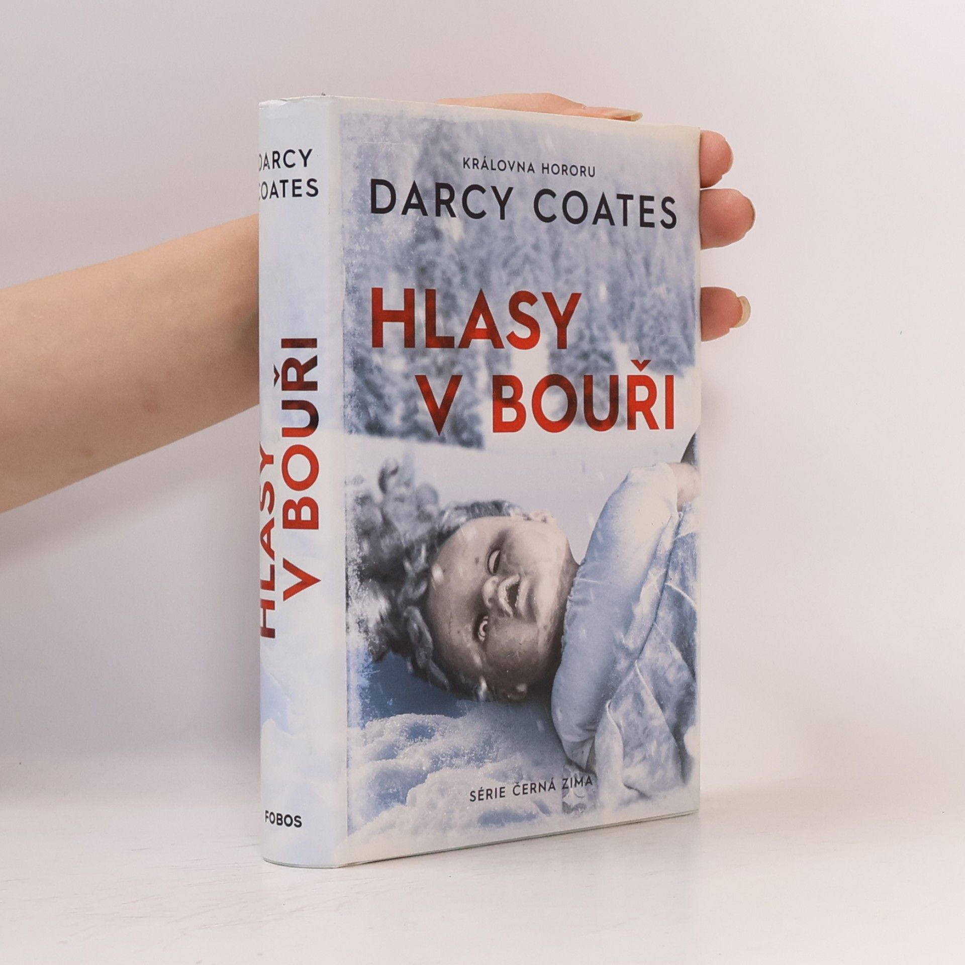 Darcy Coates Hlasy v bouři